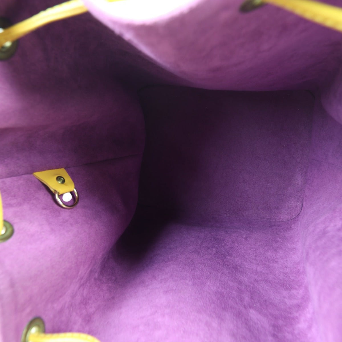 Louis Vuitton Petit Noe Epi