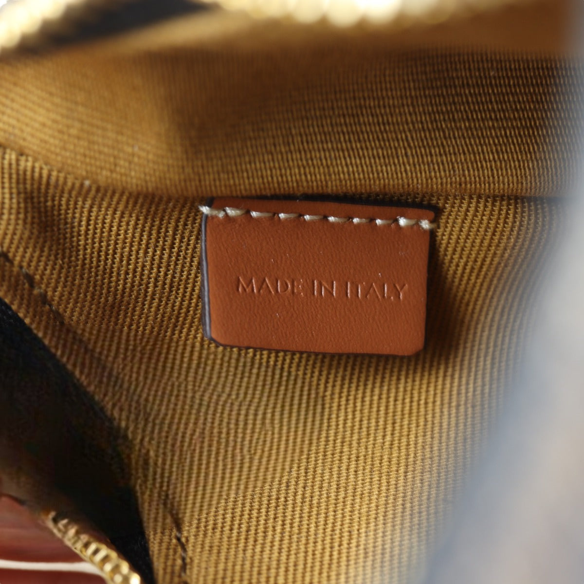 Celine Ava Triomphe Hobo Embroidered Mini