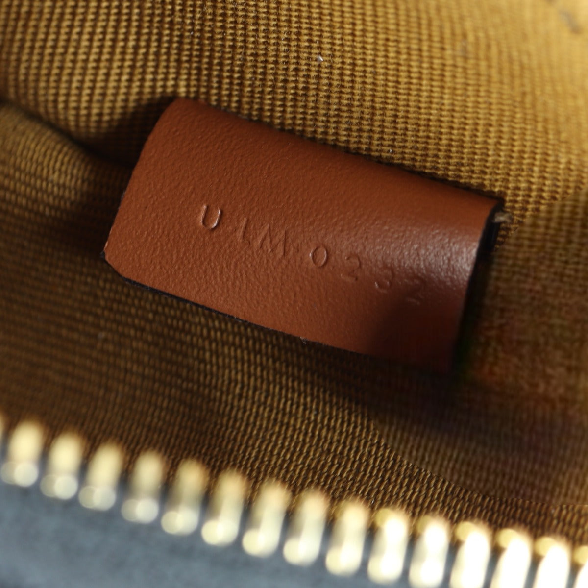 Celine Ava Triomphe Hobo Embroidered Mini