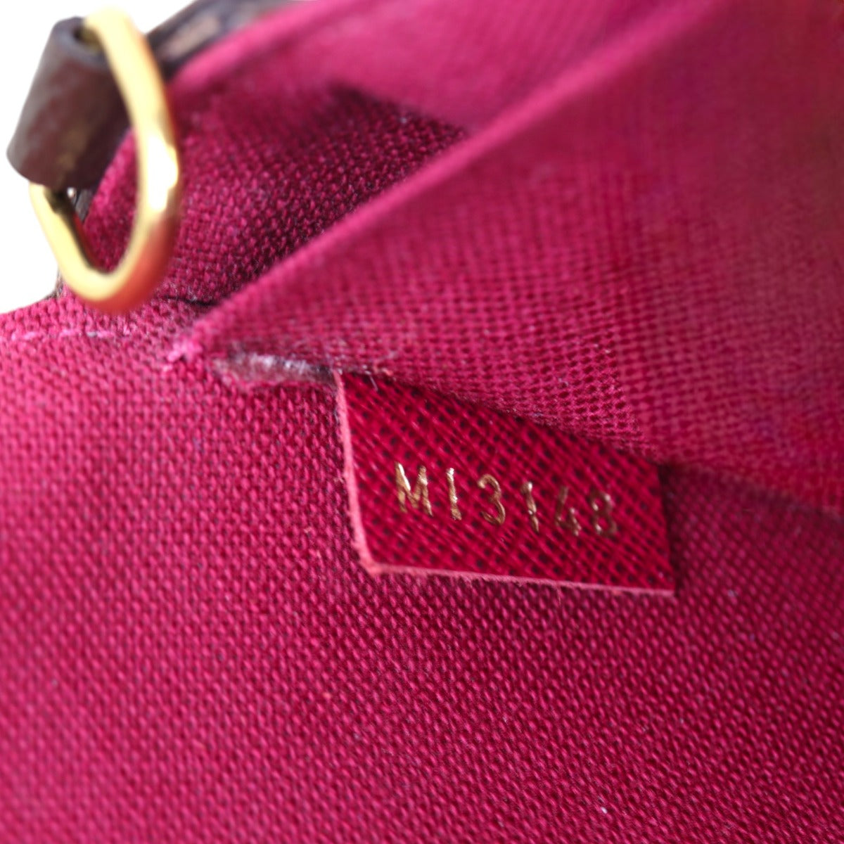 Louis Vuitton Pochette Felicie Monogram