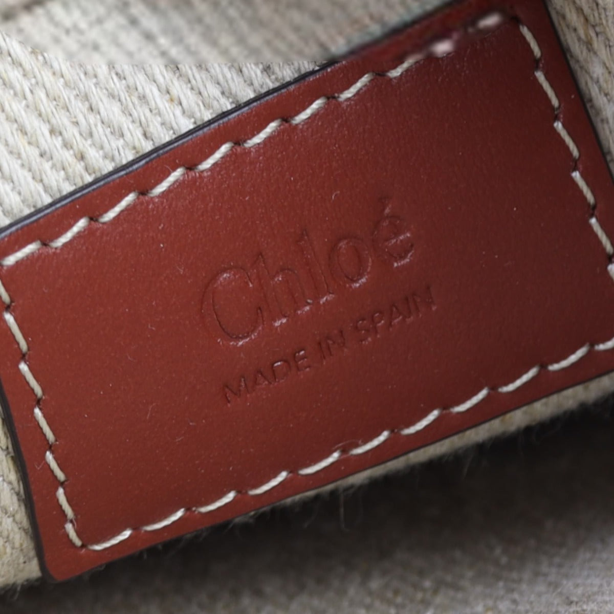 Chloe Mini Woody North South Tote Bag