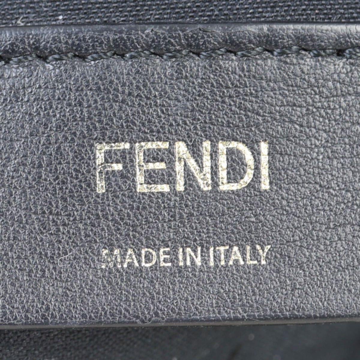 Fendi FF 1974 Camera Bag