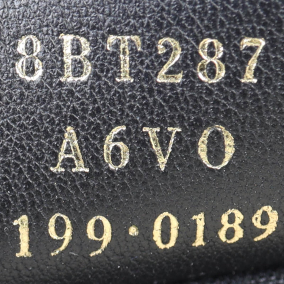 Fendi FF 1974 Camera Bag