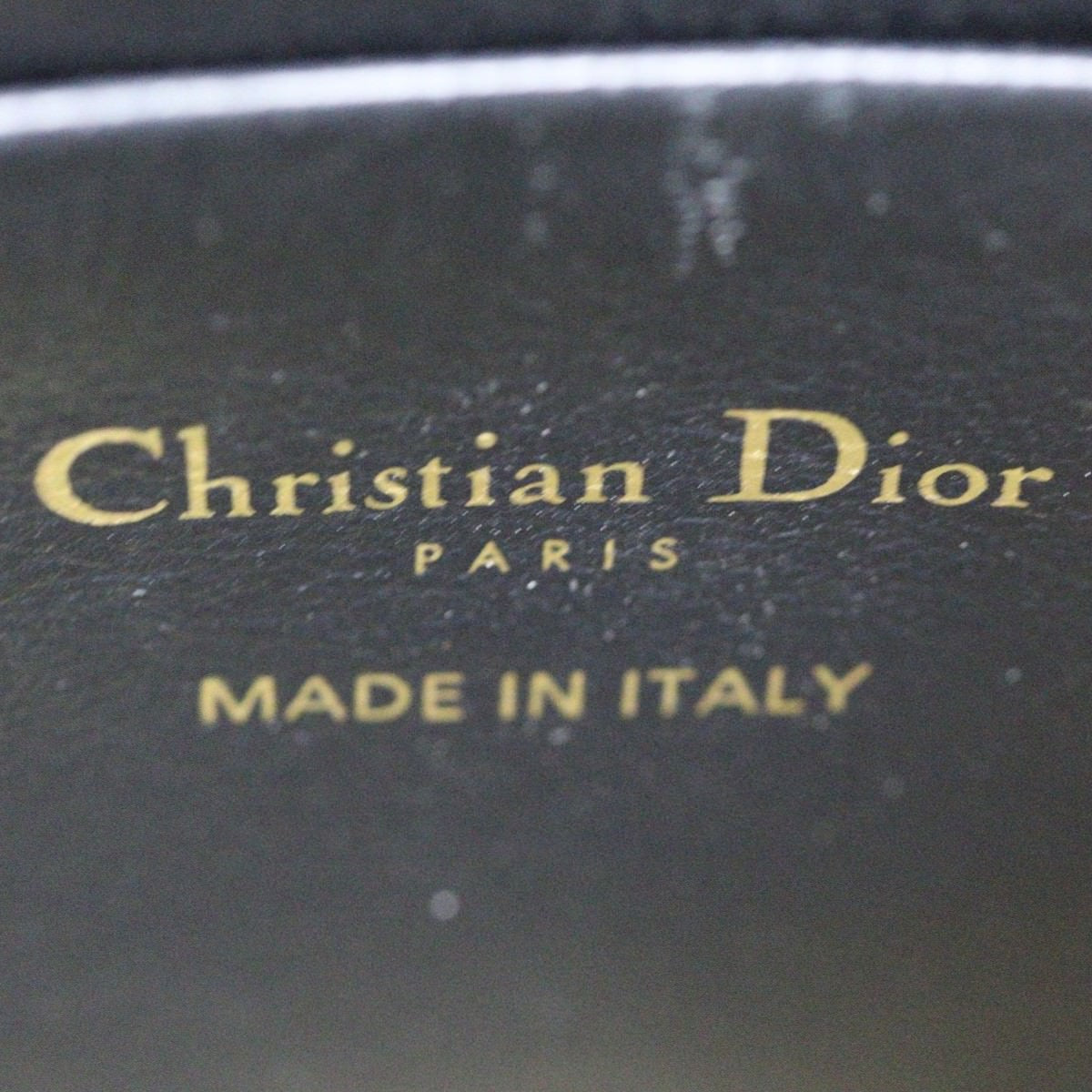 Dior Vertical Saddle Pouch Oblique