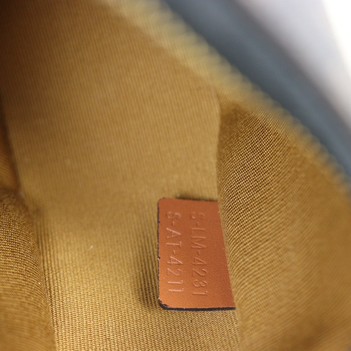 Celine Ava Triomphe Hobo