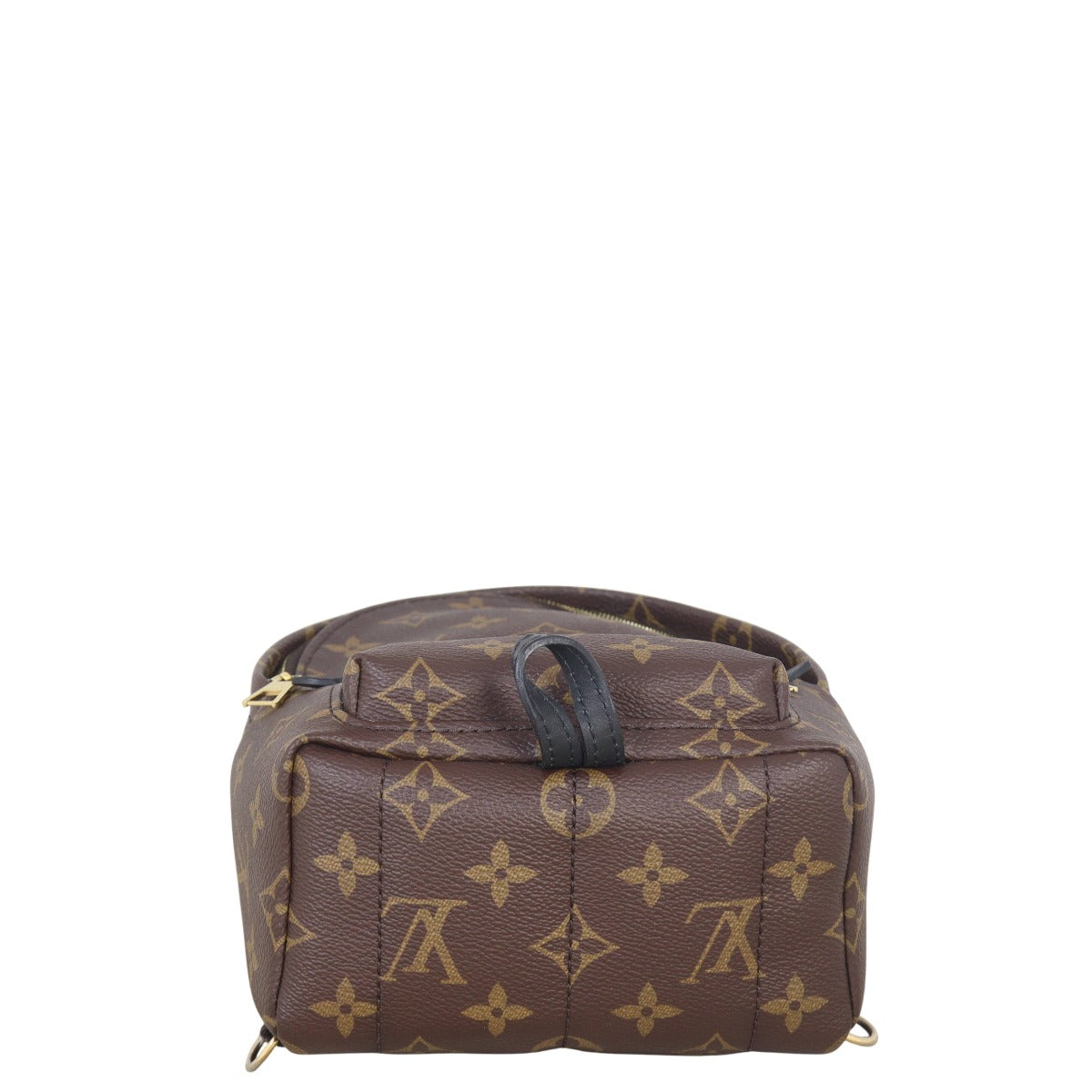 Louis Vuitton Palm Springs Mini Backpack Monogram