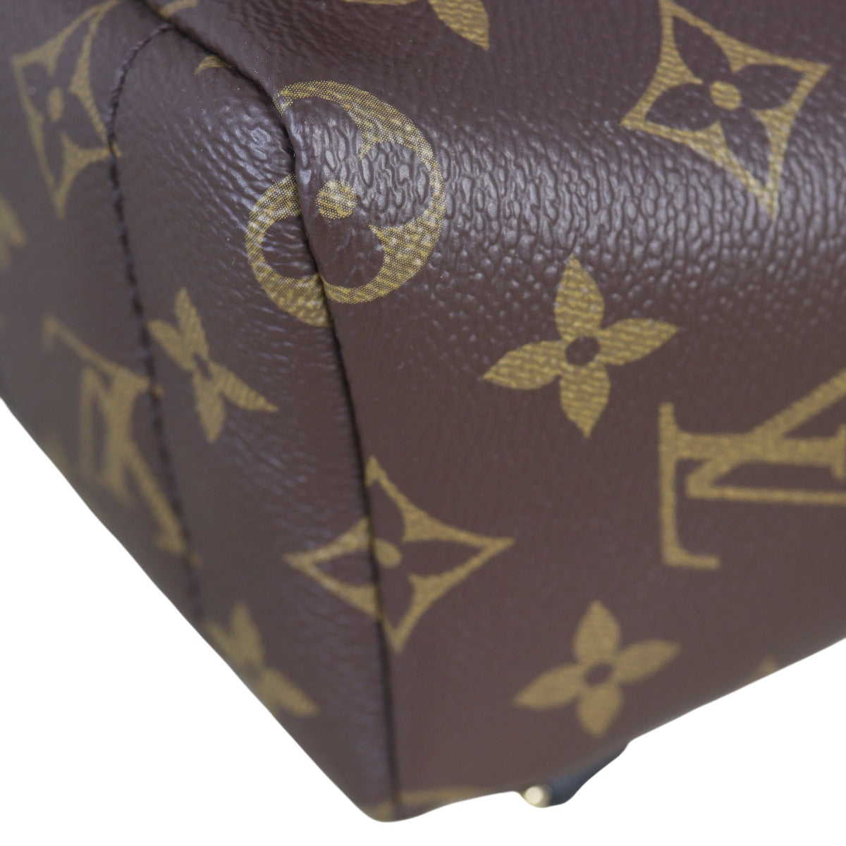 Louis Vuitton Palm Springs Mini Backpack Monogram