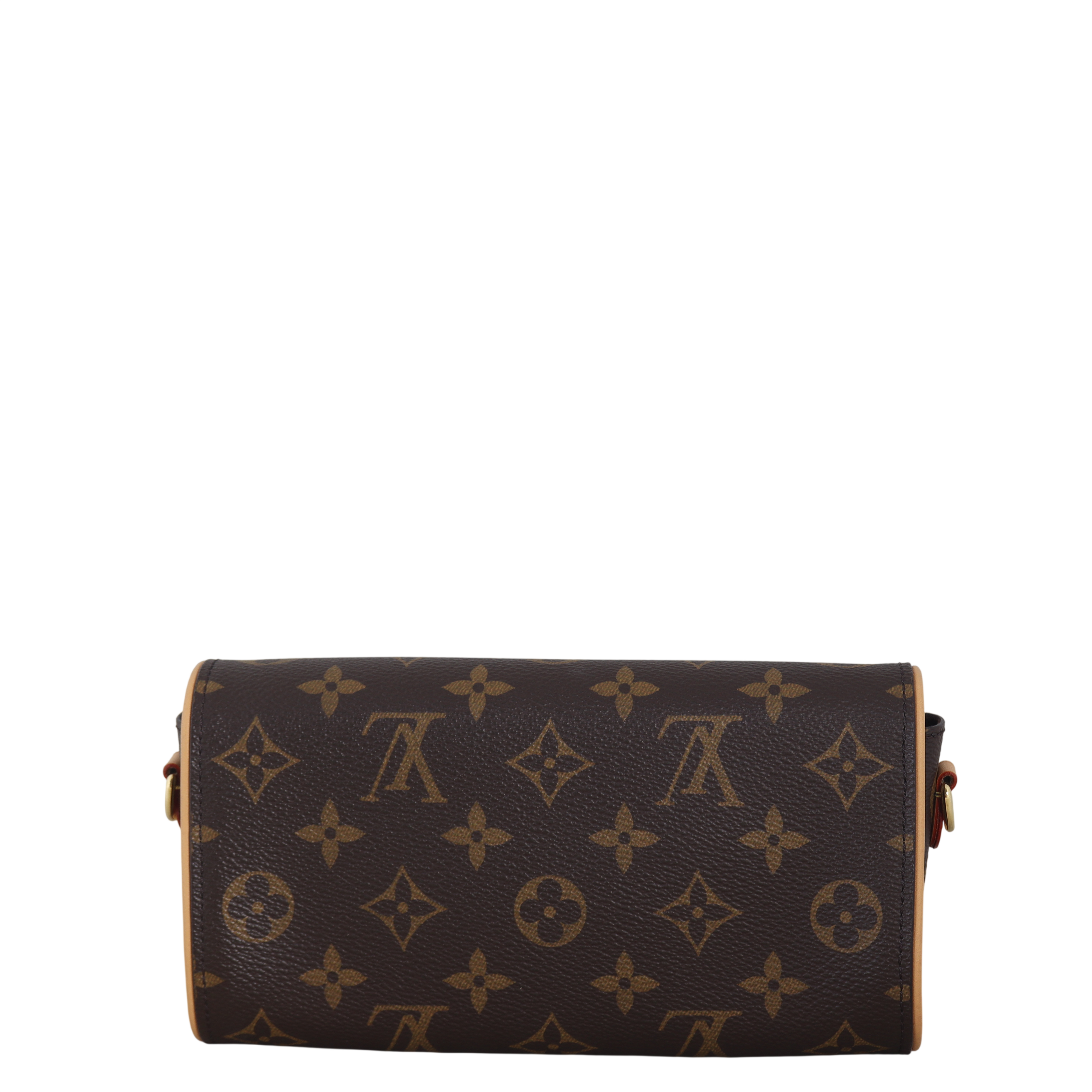 Louis Vuitton Camille Pochette Monogram