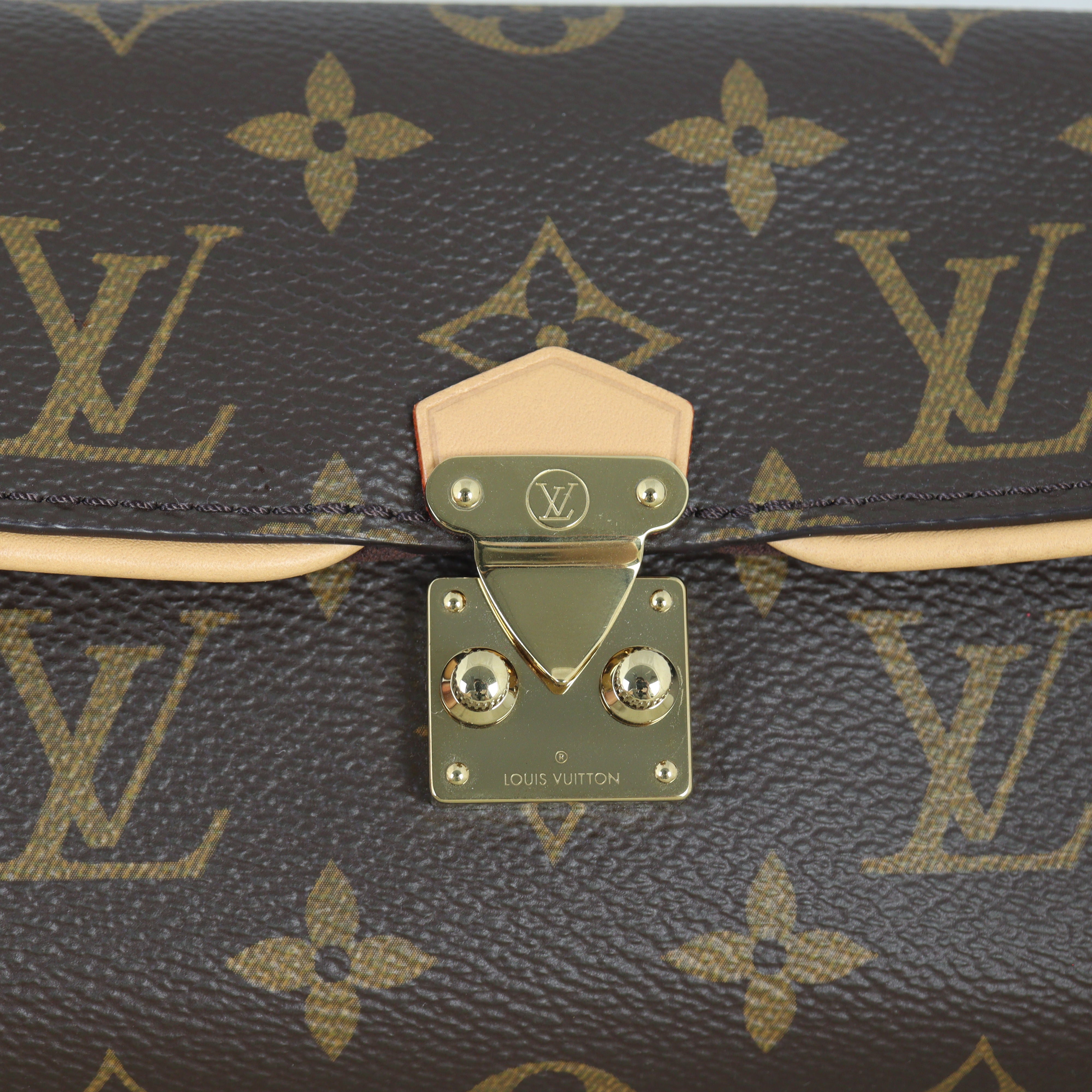 Louis Vuitton Camille Pochette Monogram