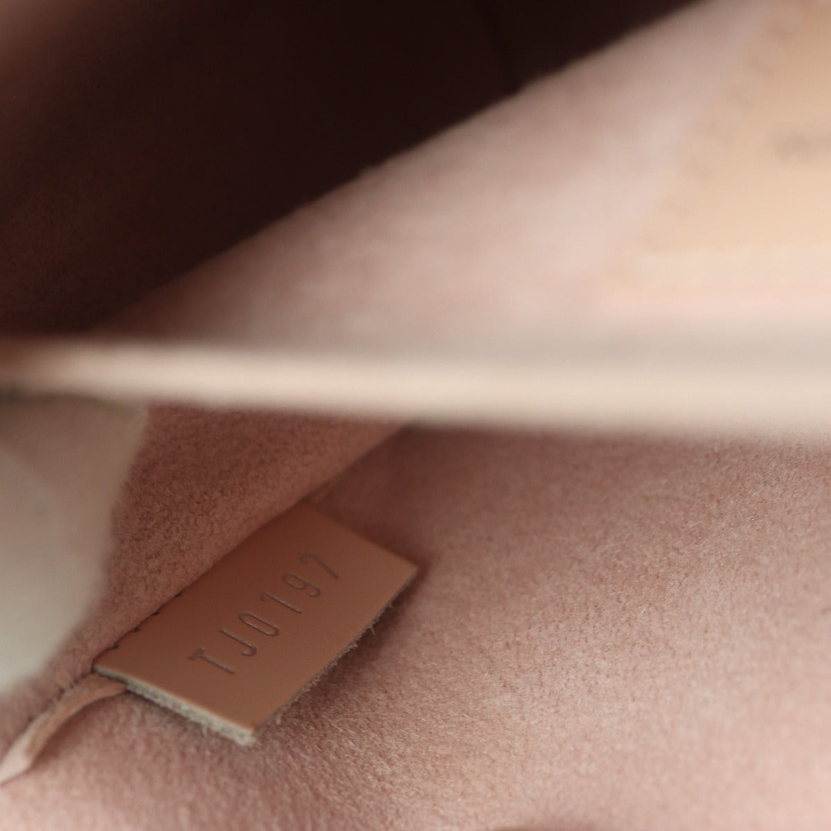 Louis Vuitton Pochette Felicie Epi