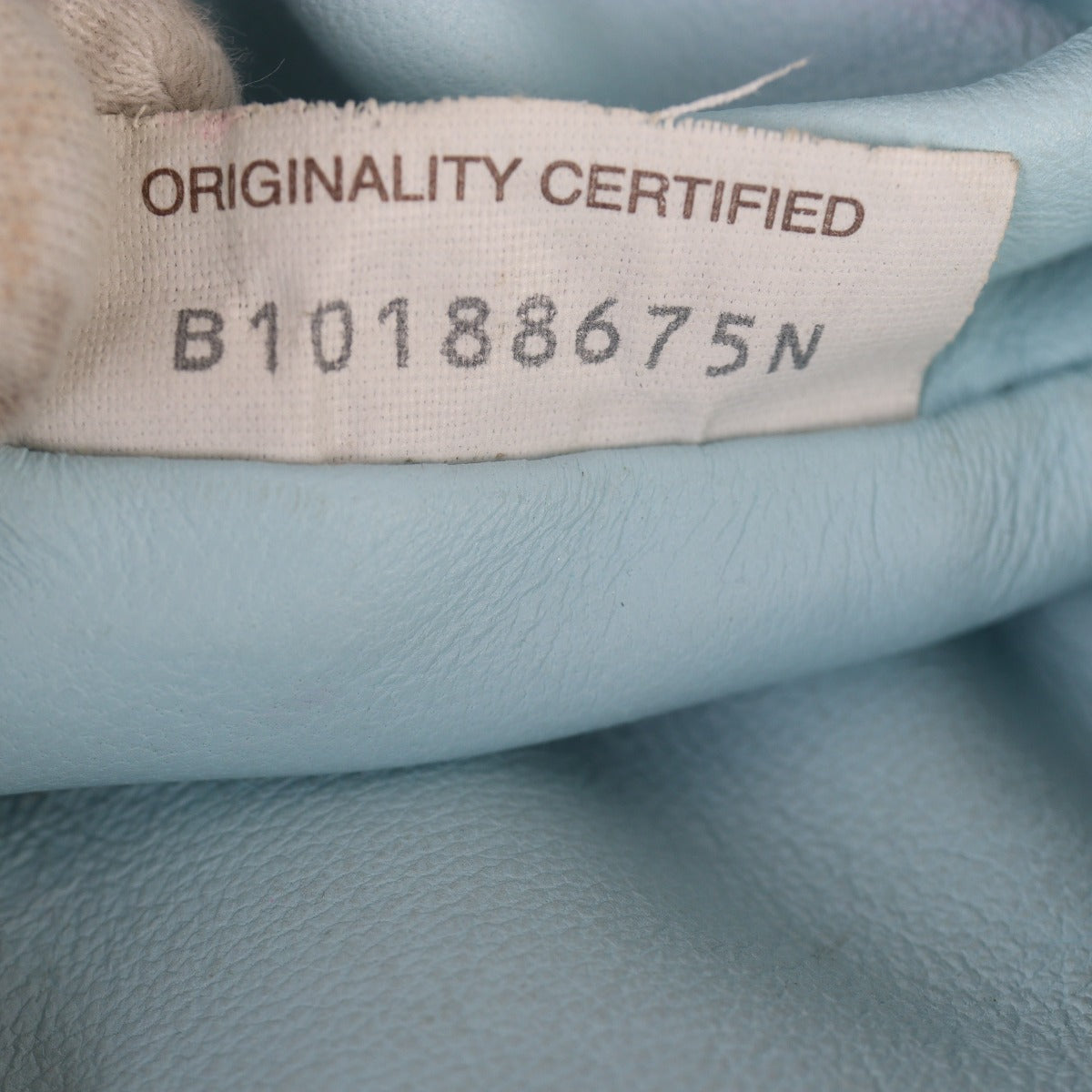 Bottega Veneta The Pouch Intrecciato