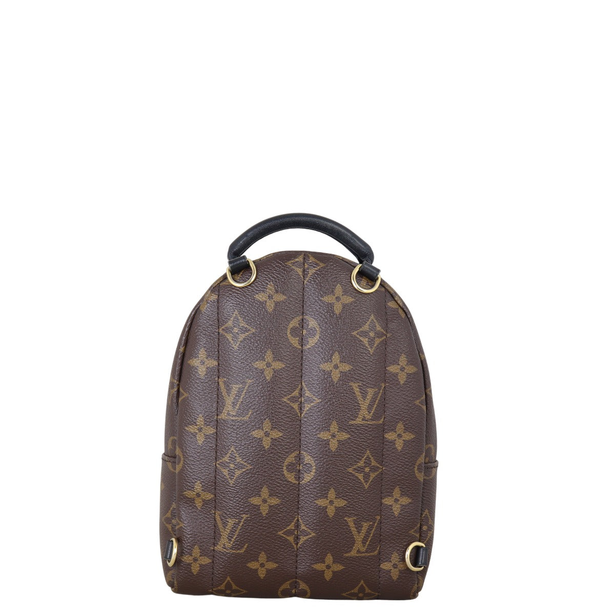 Louis Vuitton Palm Springs Mini Backpack Monogram