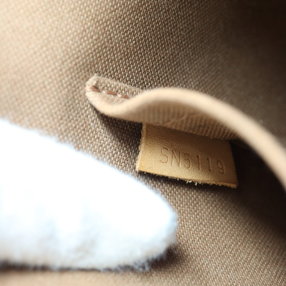 Louis Vuitton Alma PM Monogram