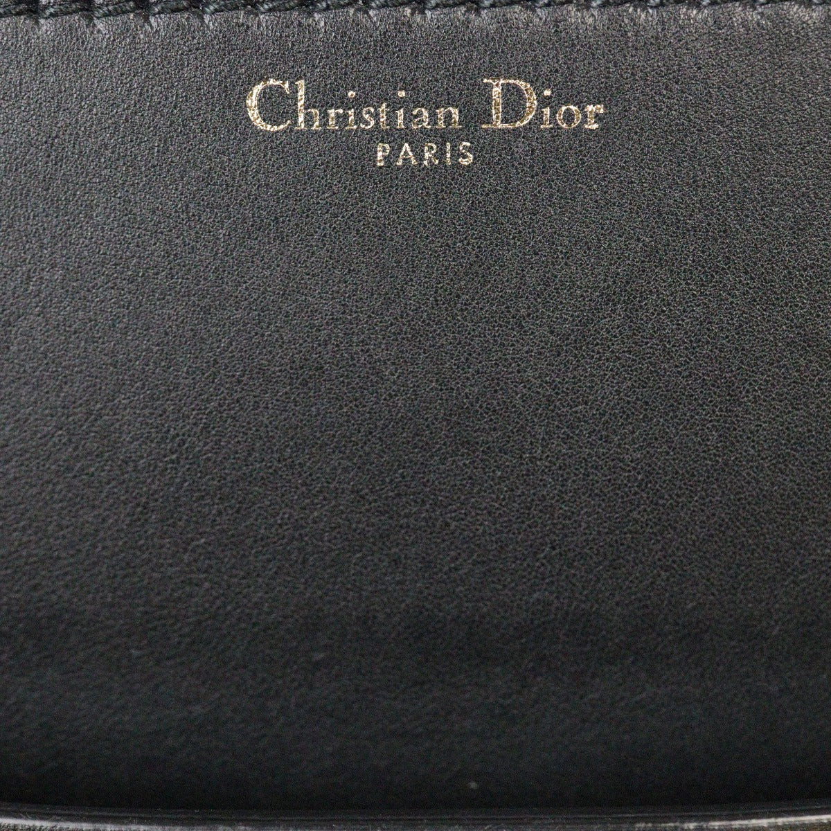 Dior Dio(r)evolution Flap Bag