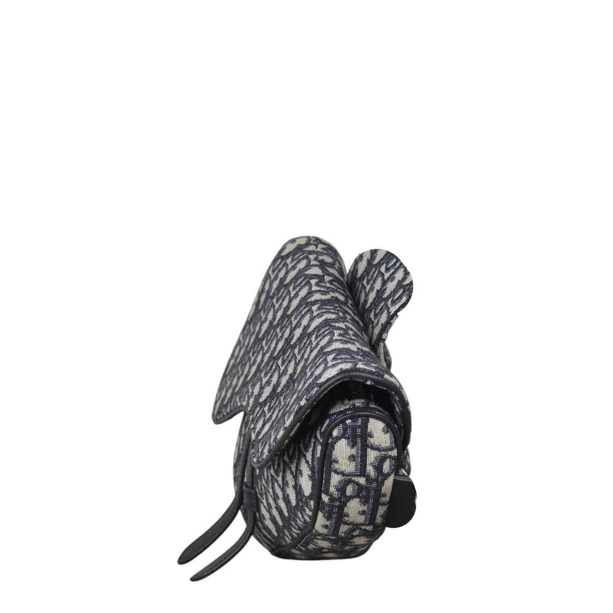 Dior Saddle Crossbody Bag Oblique