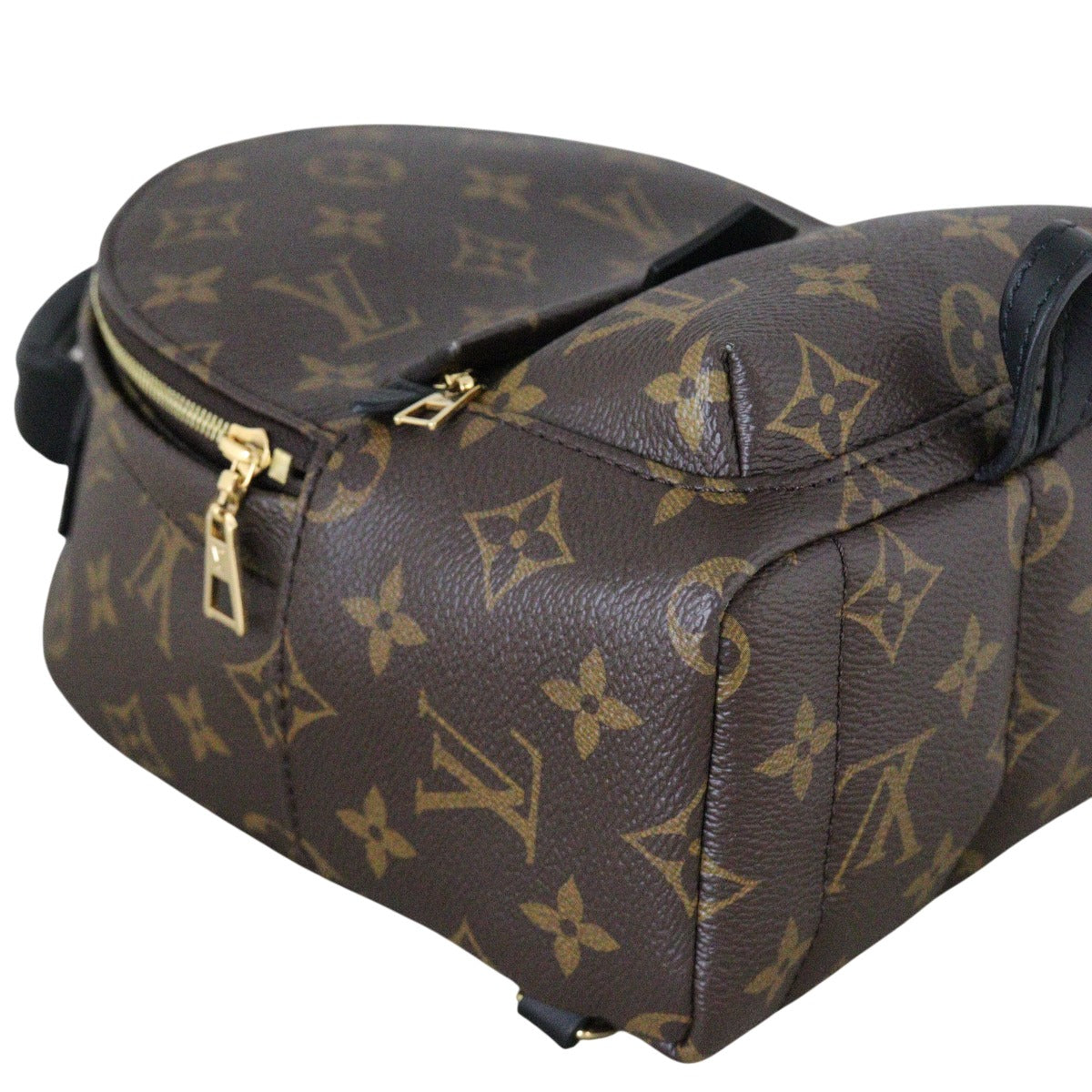 Louis Vuitton Palm Springs Mini Backpack Monogram