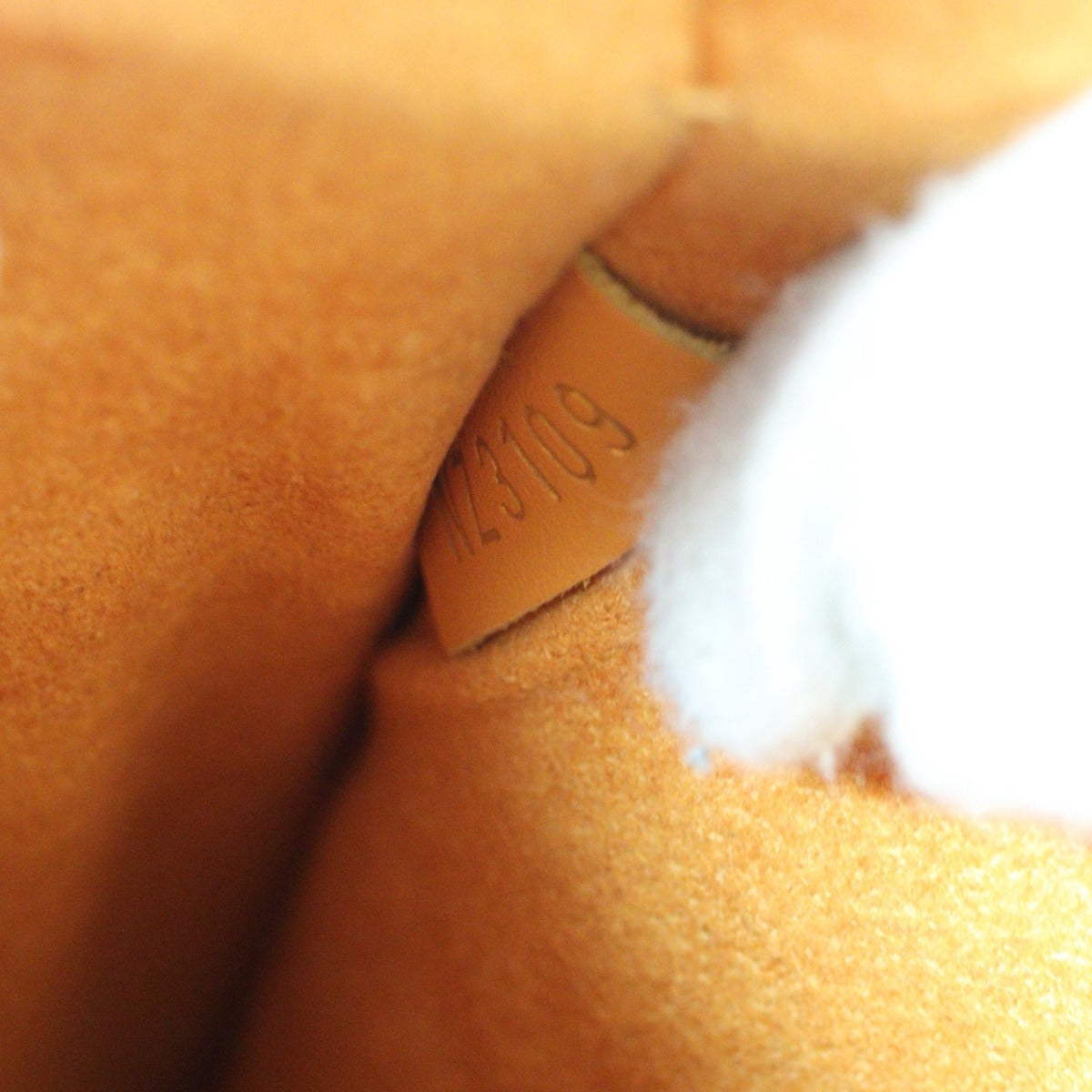 Louis Vuitton NeoNoe Damier Ebene