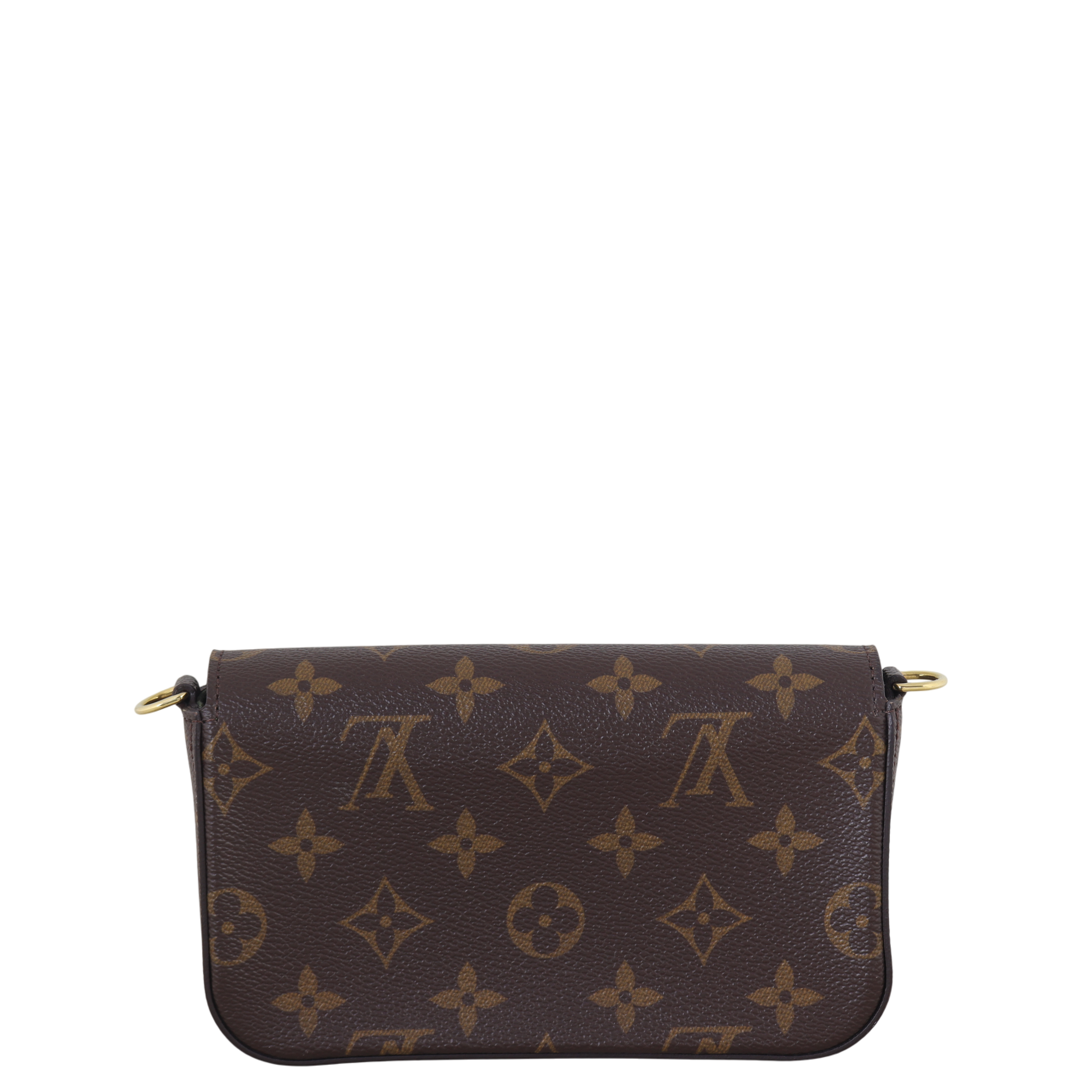 Louis Vuitton Felicie Strap & Go Monogram