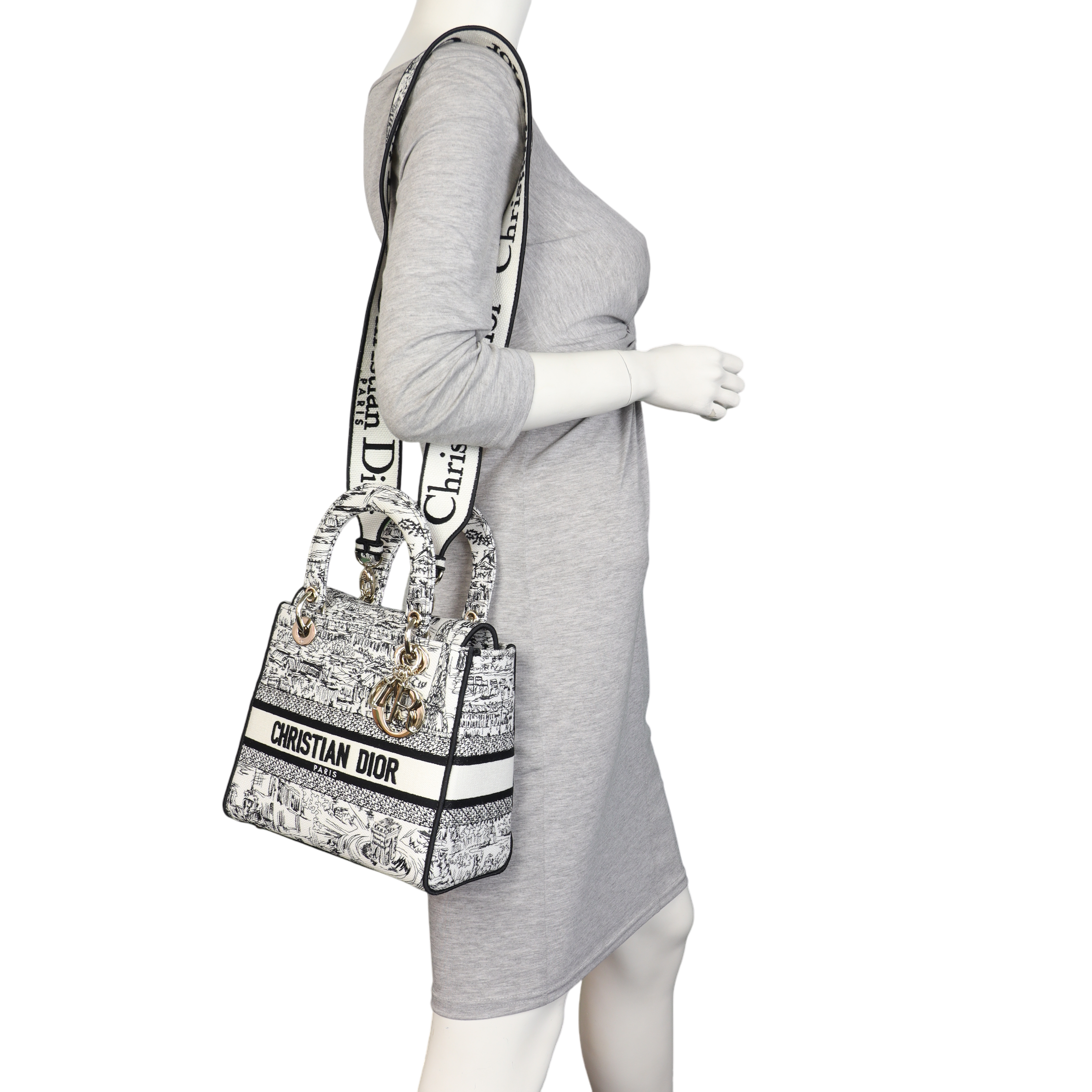 Dior Lady D-Lite Medium