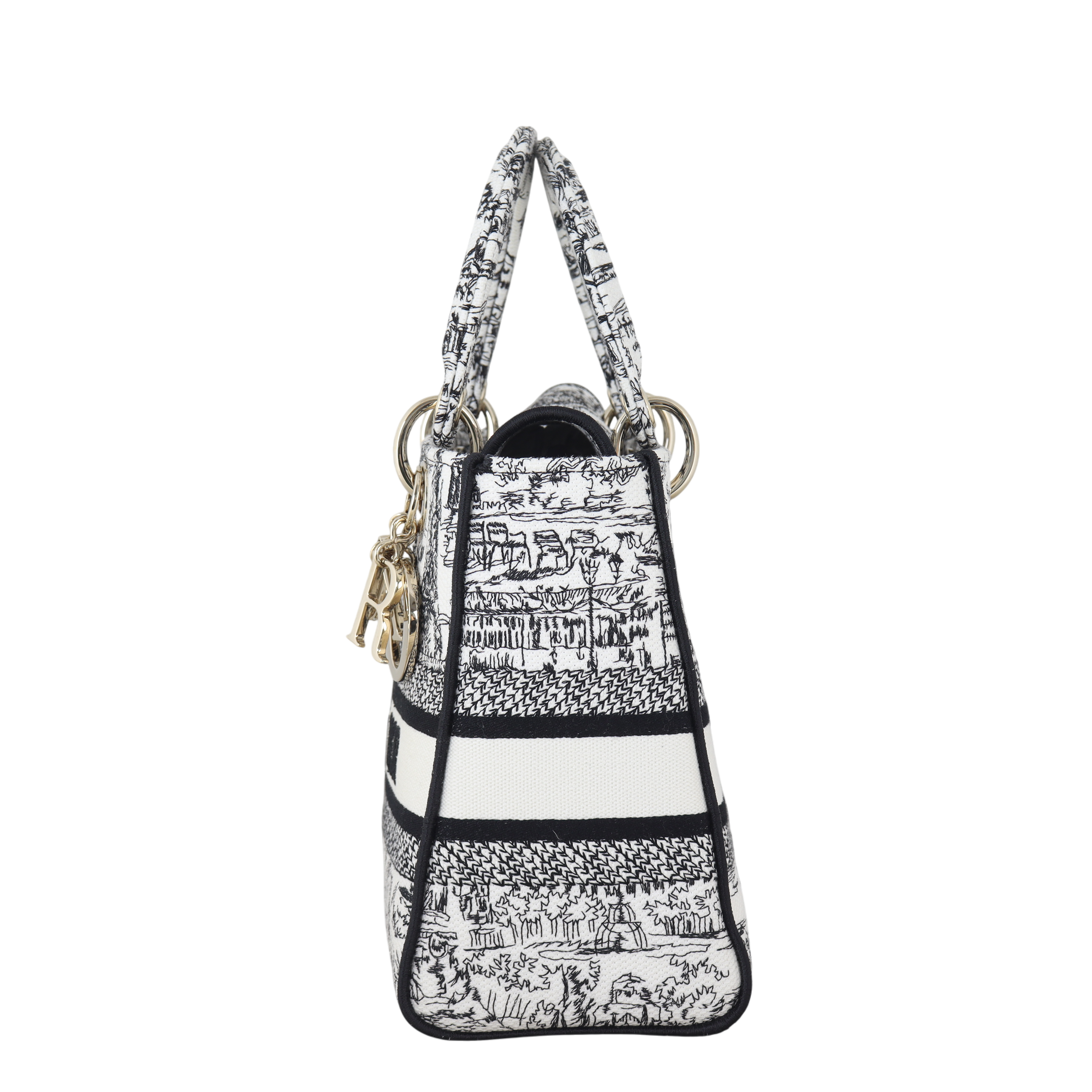 Dior Lady D-Lite Medium