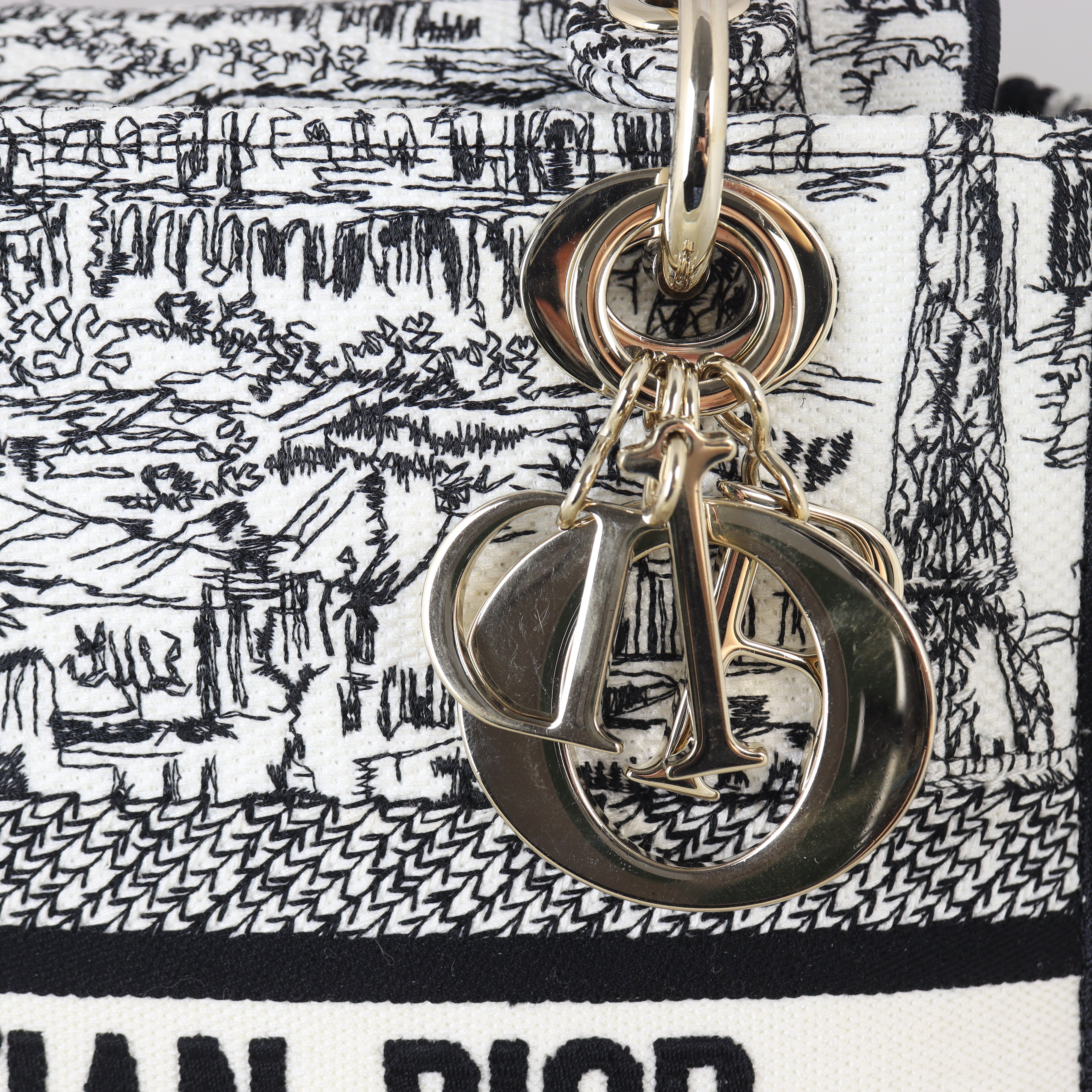 Dior Lady D-Lite Medium