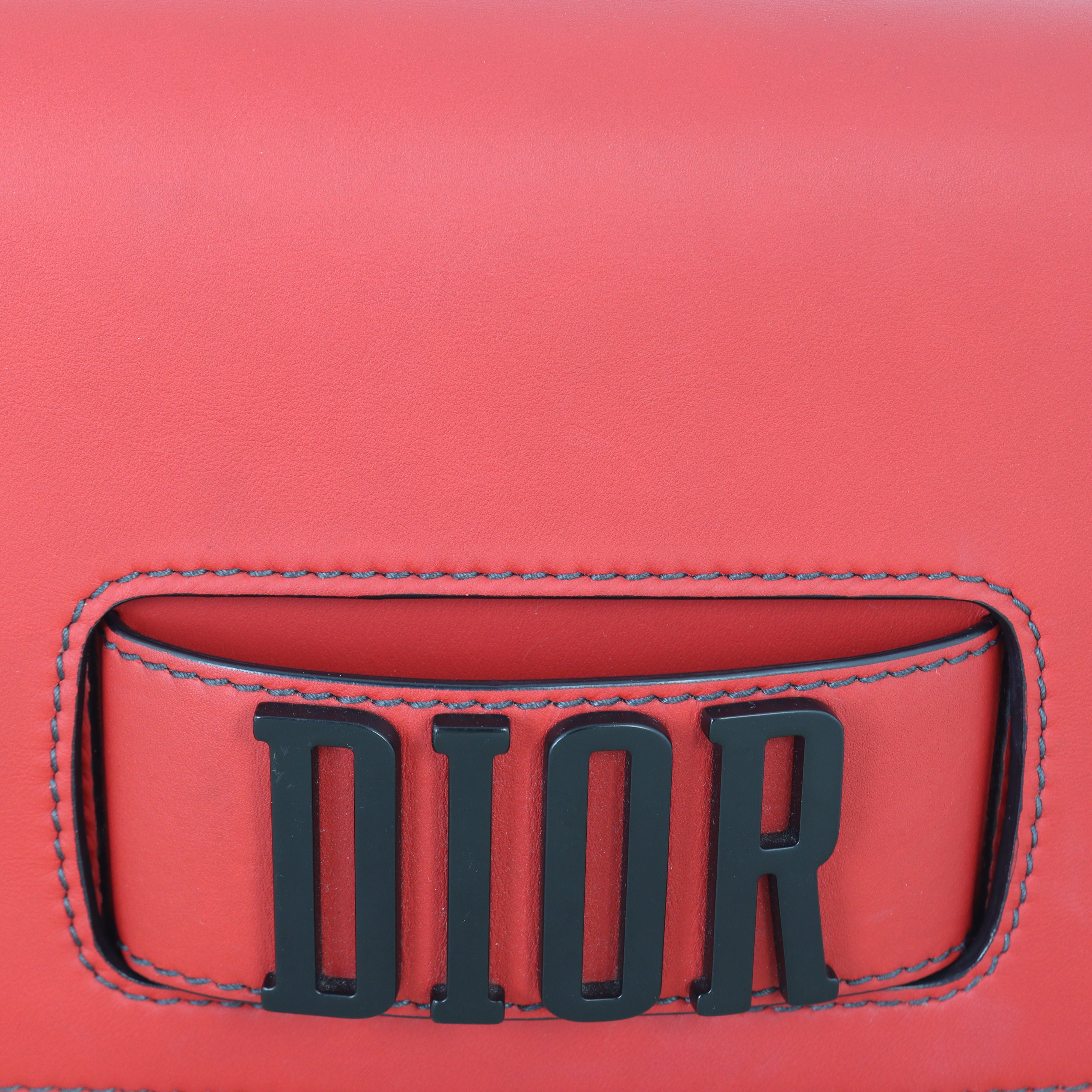 Dior Dio(r)evolution Flap Bag