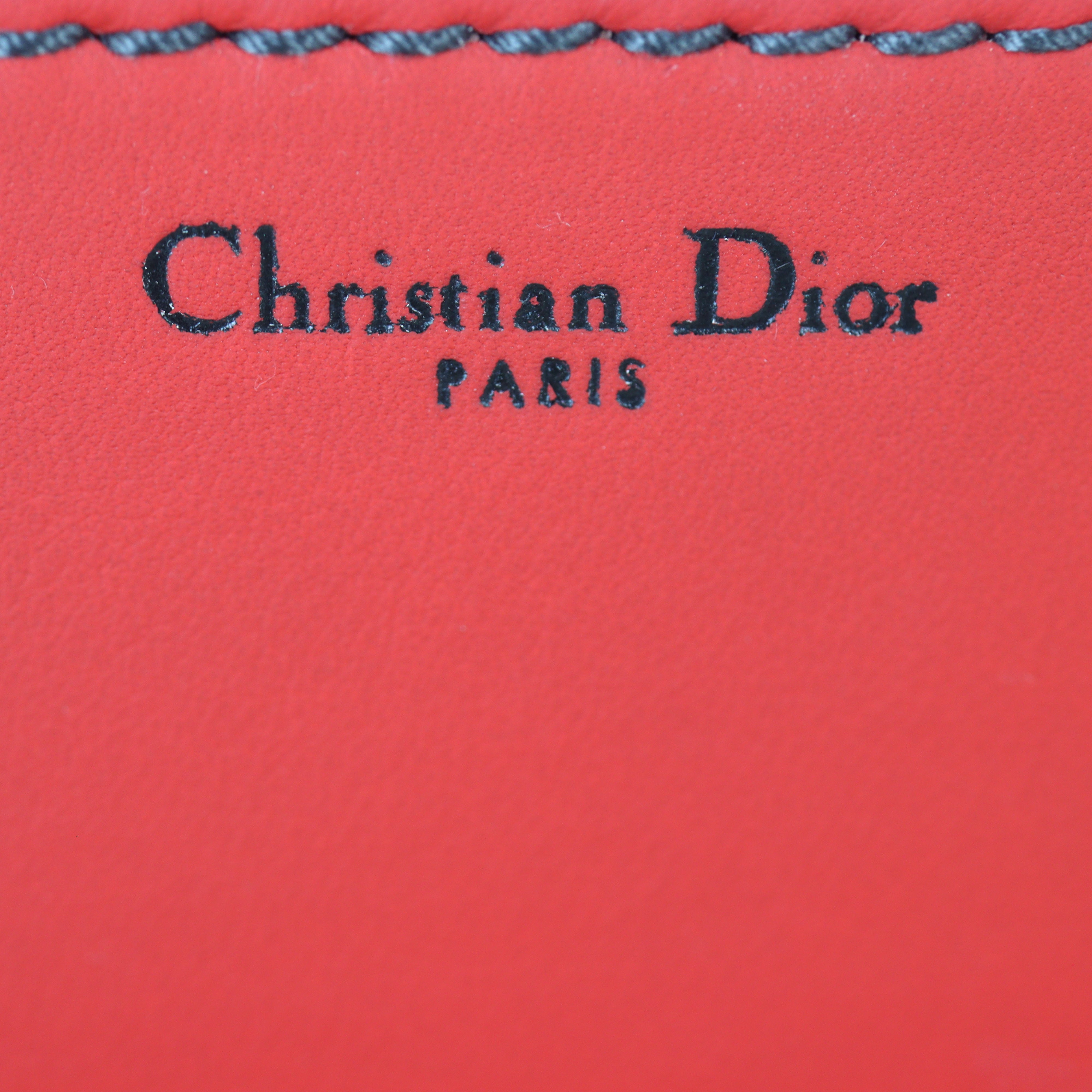 Dior Dio(r)evolution Flap Bag