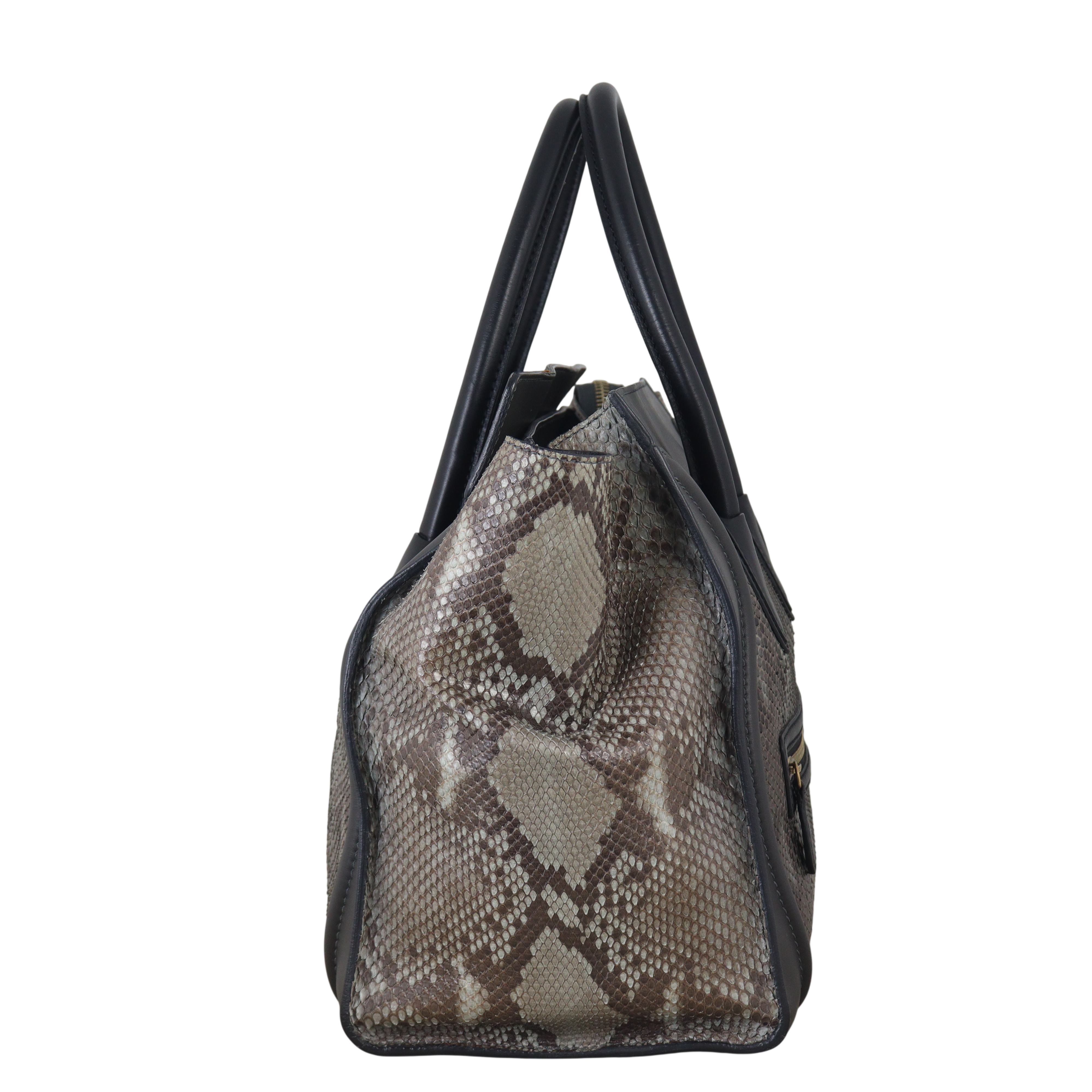 Celine Mini Luggage Tote Python