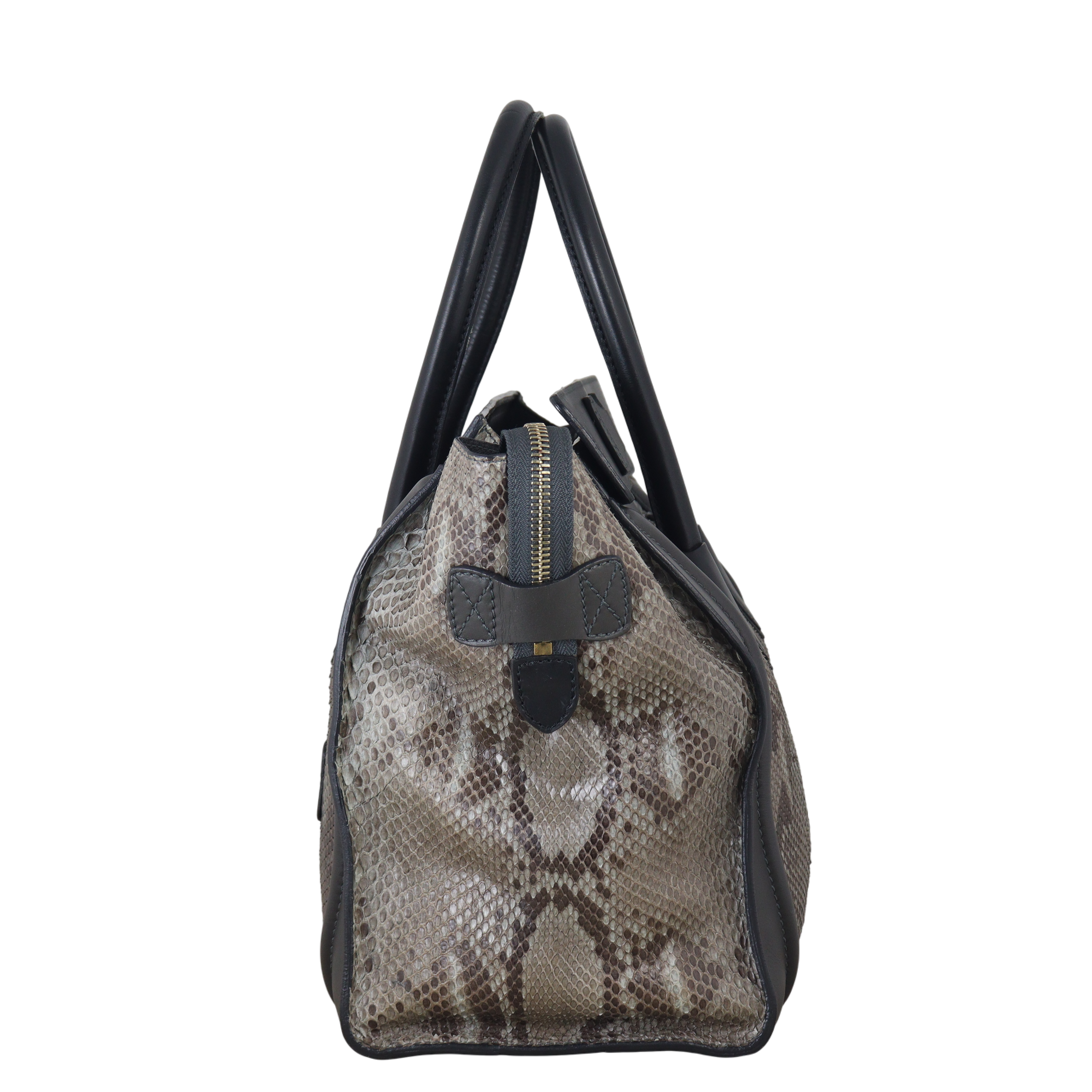 Celine Mini Luggage Tote Python