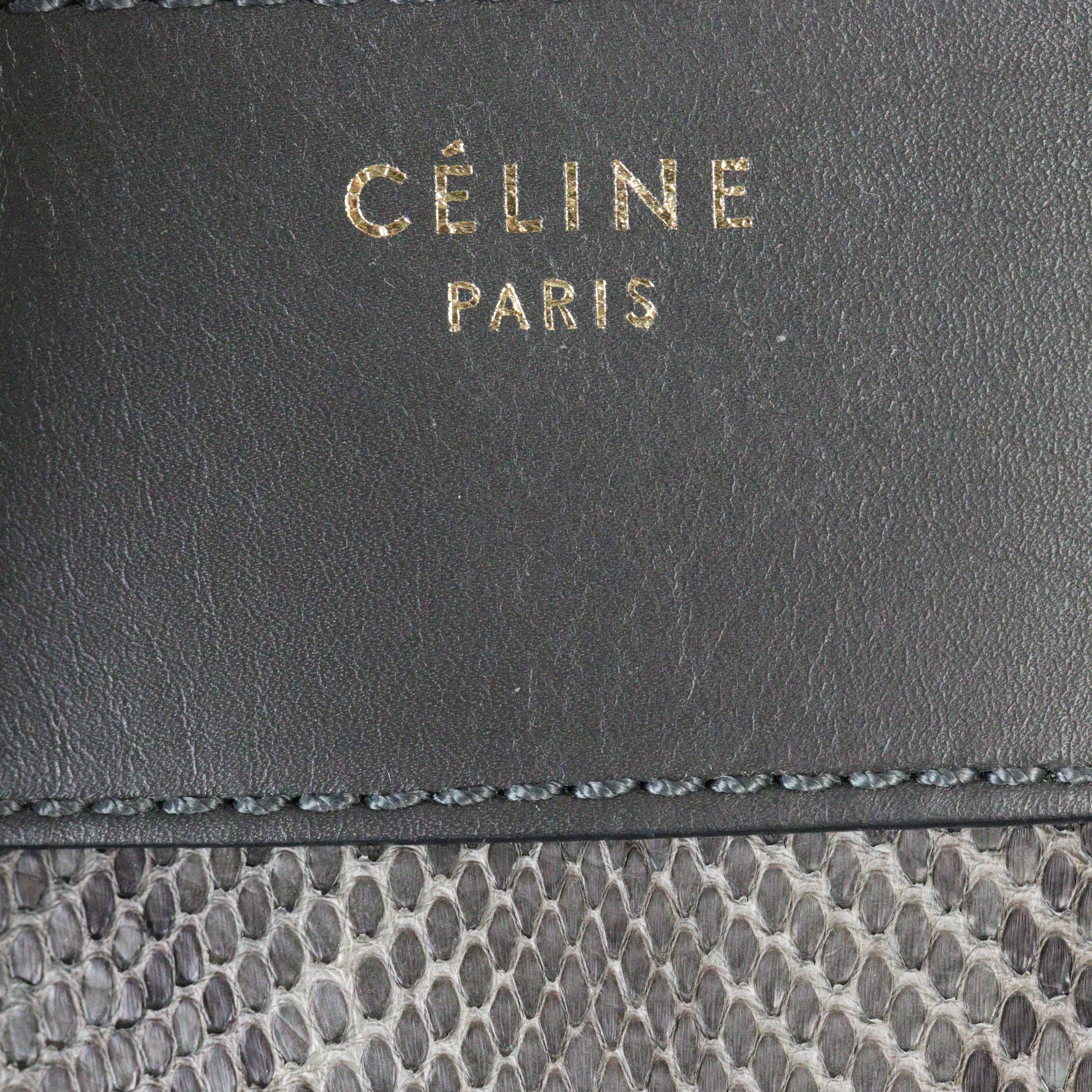 Celine Mini Luggage Tote Python