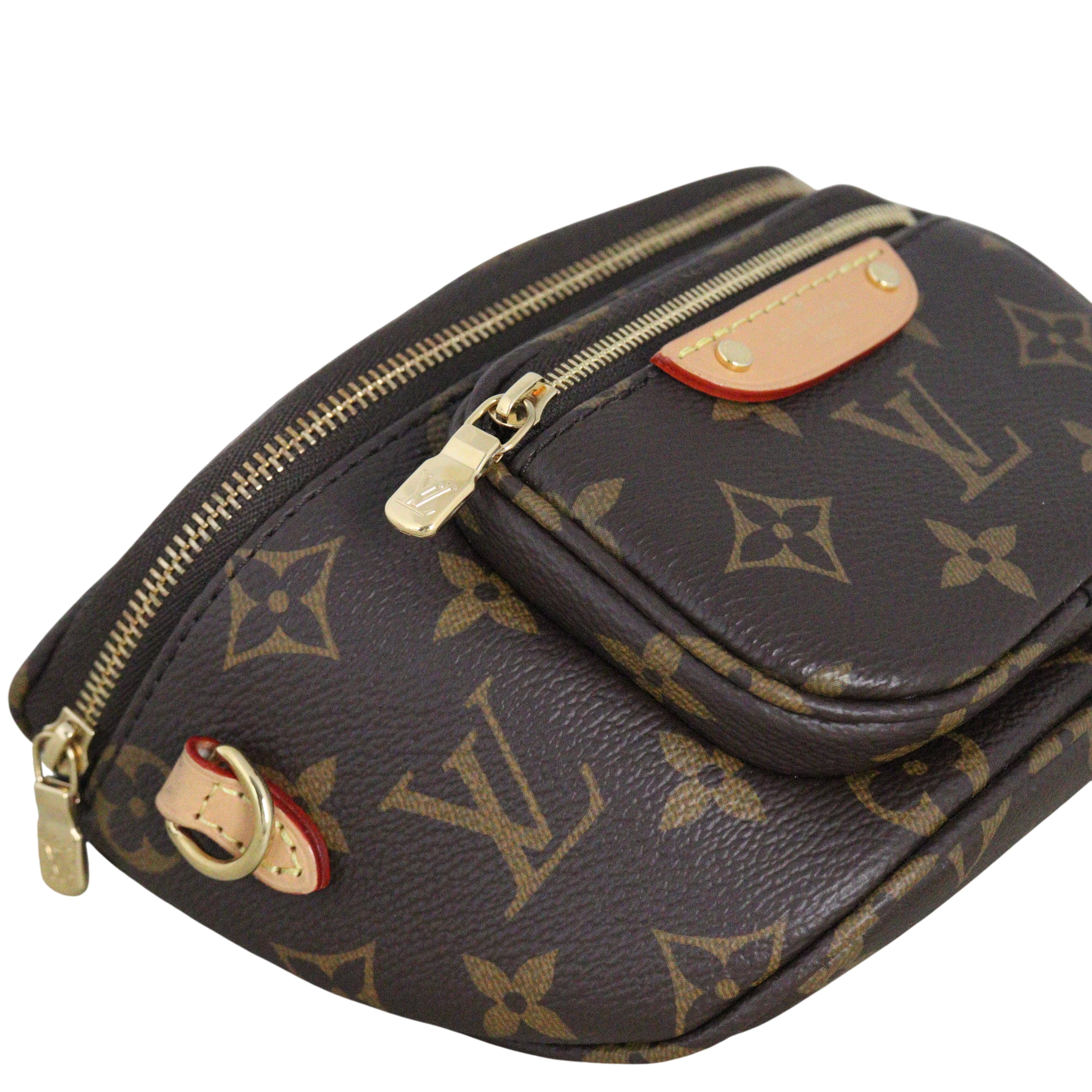 Louis Vuitton Mini Bumbag Monogram