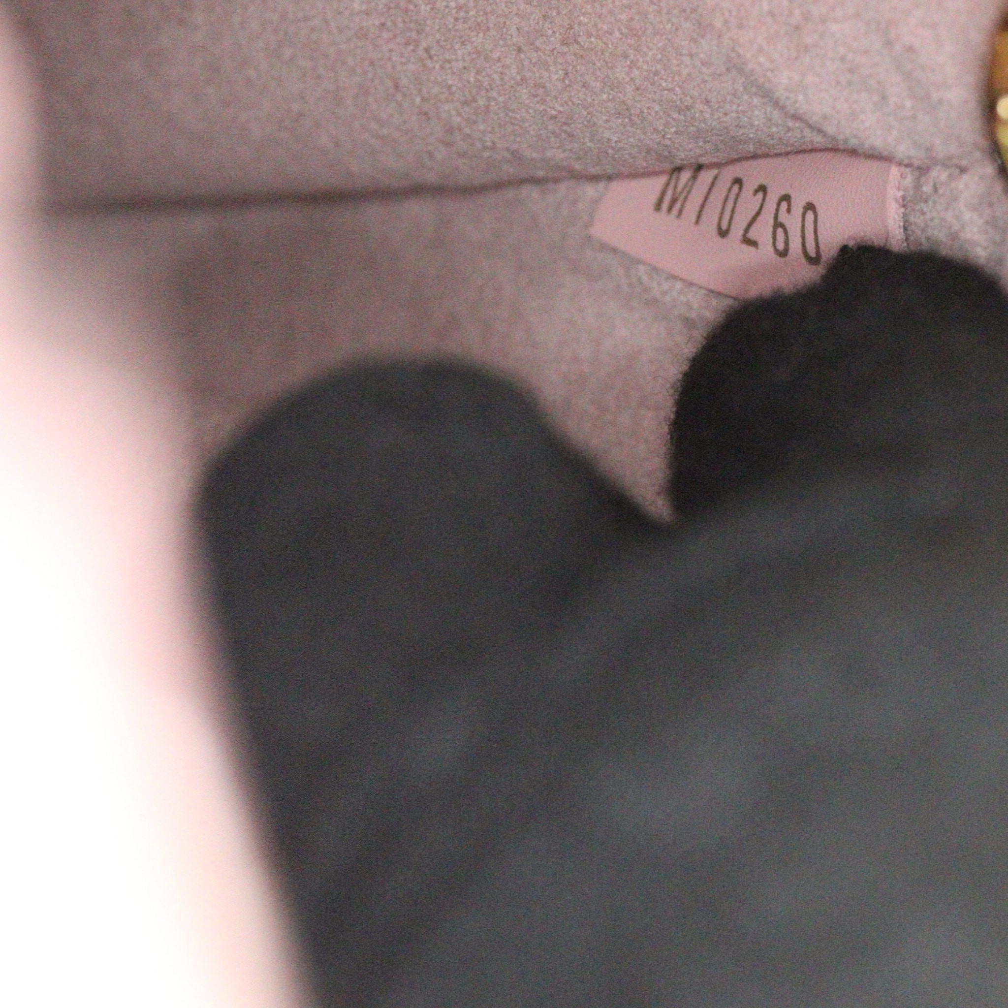 Louis Vuitton NeoNoe Monogram