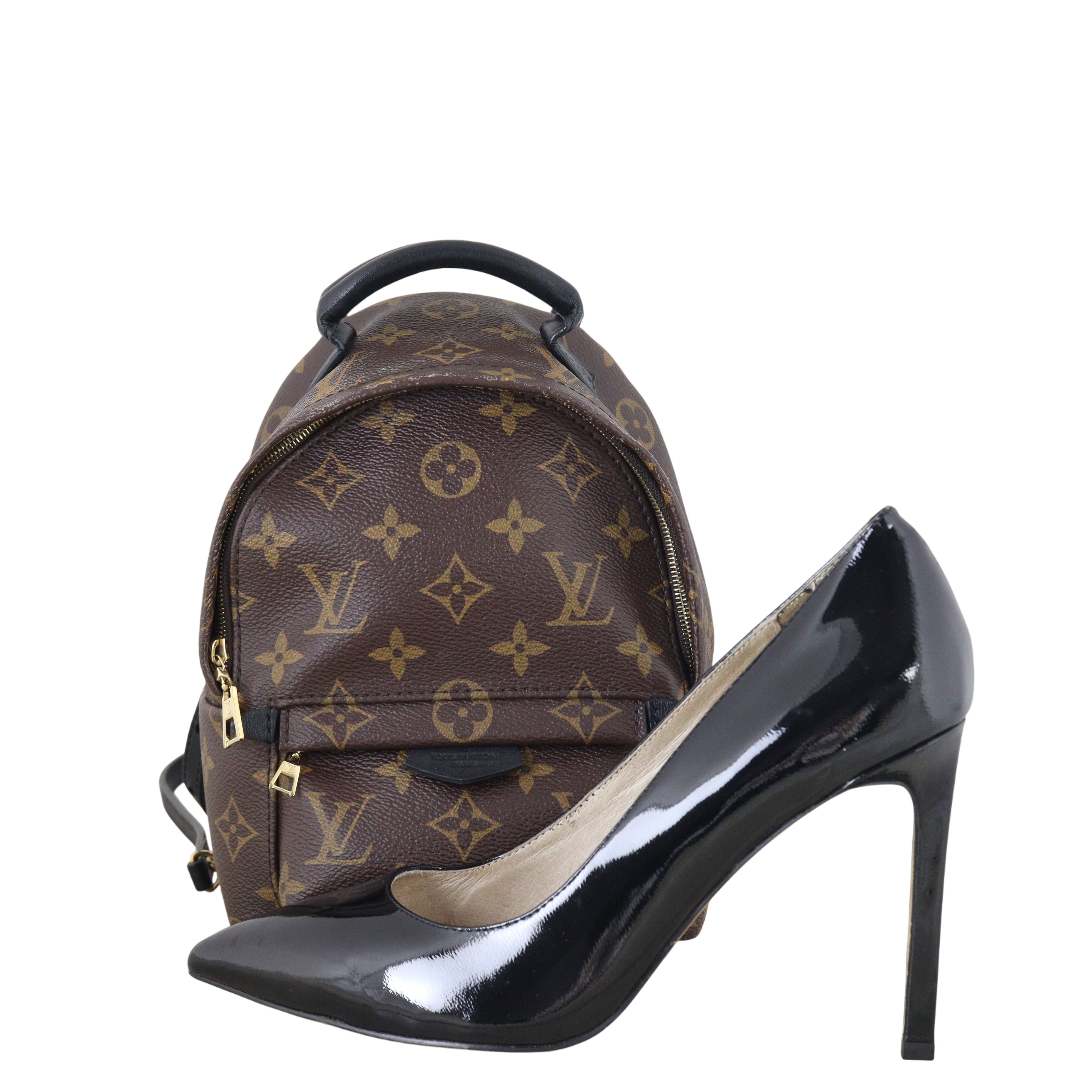 Louis Vuitton Palm Springs Mini Backpack Monogram