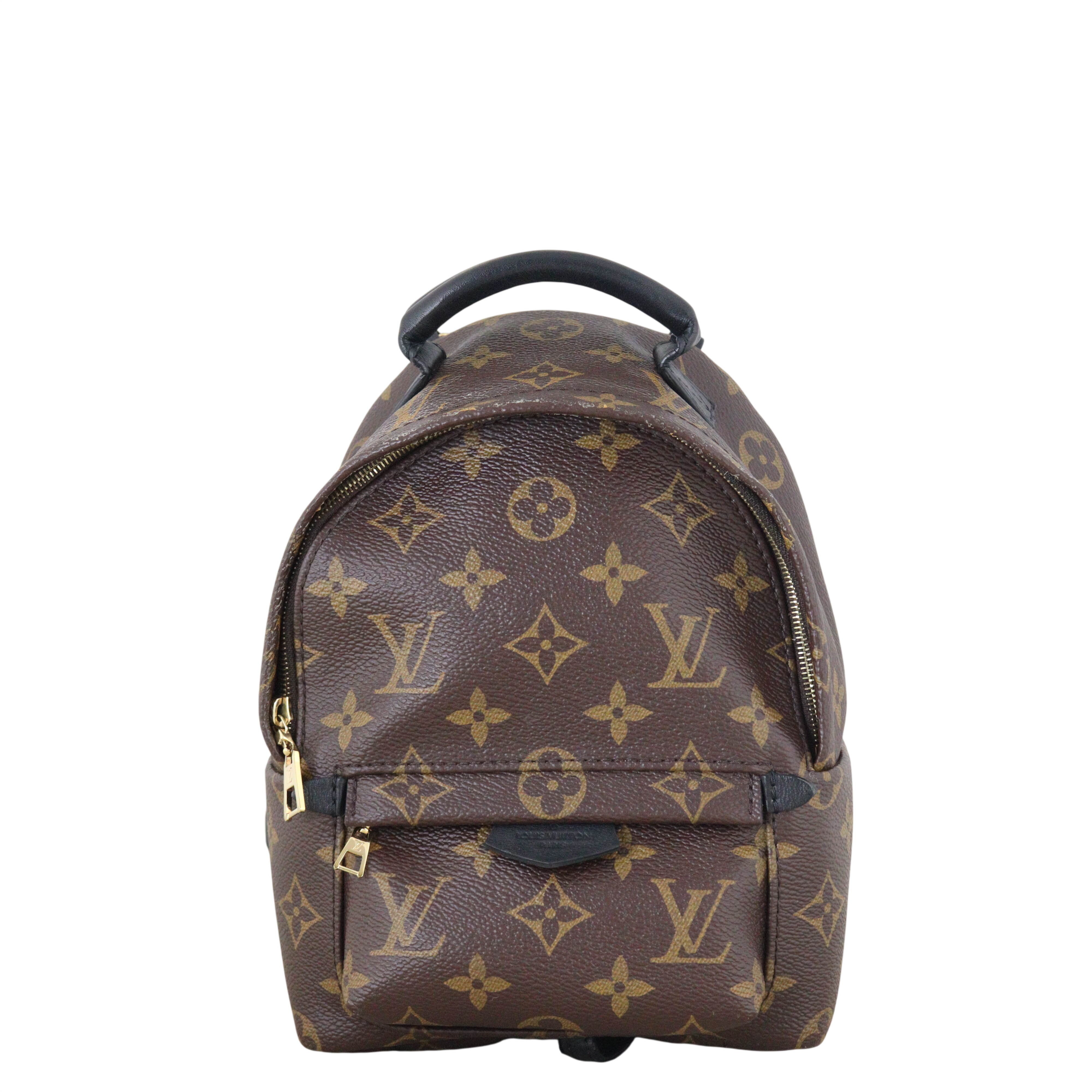 Louis Vuitton Palm Springs Mini Backpack Monogram