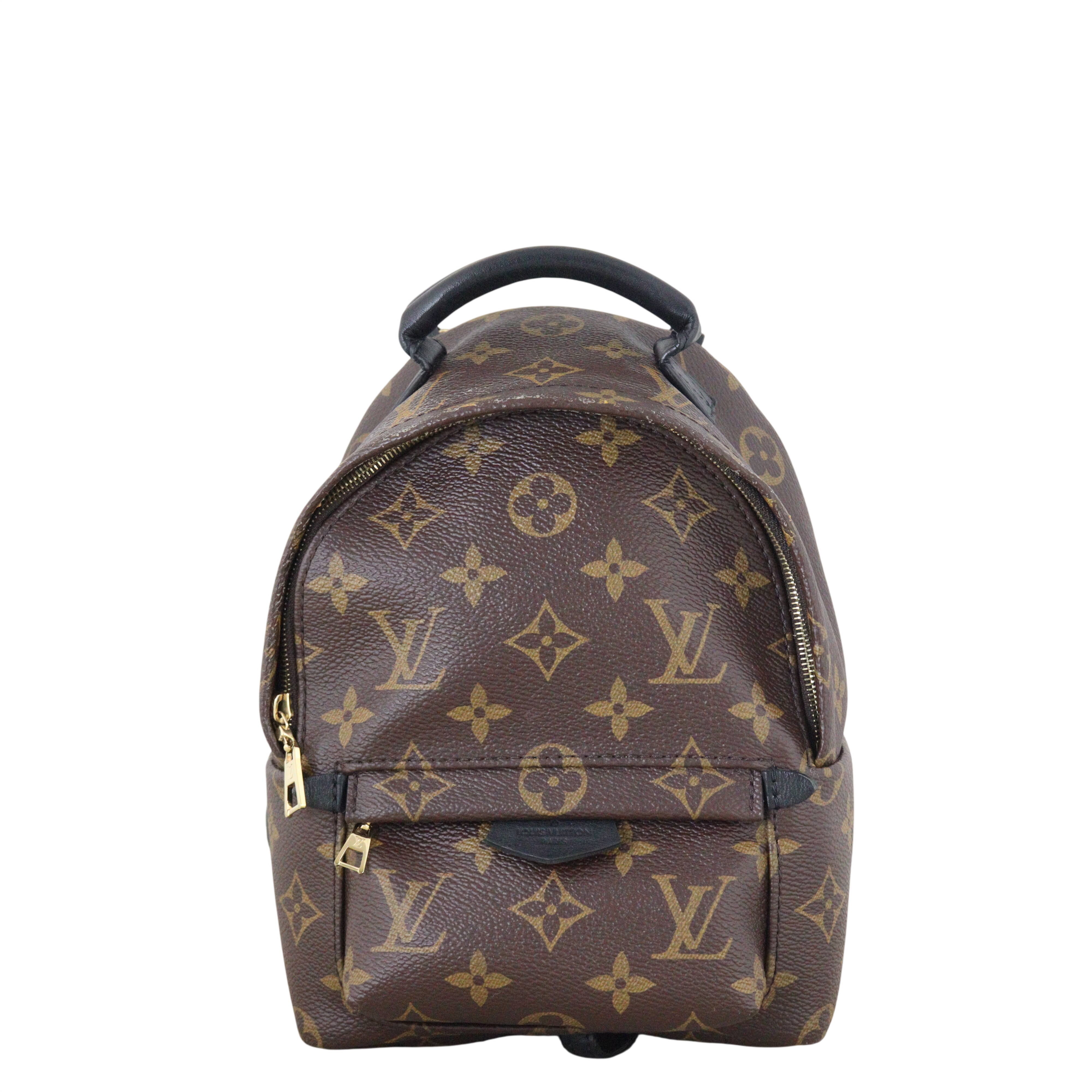 Louis Vuitton Palm Springs Mini Backpack Monogram