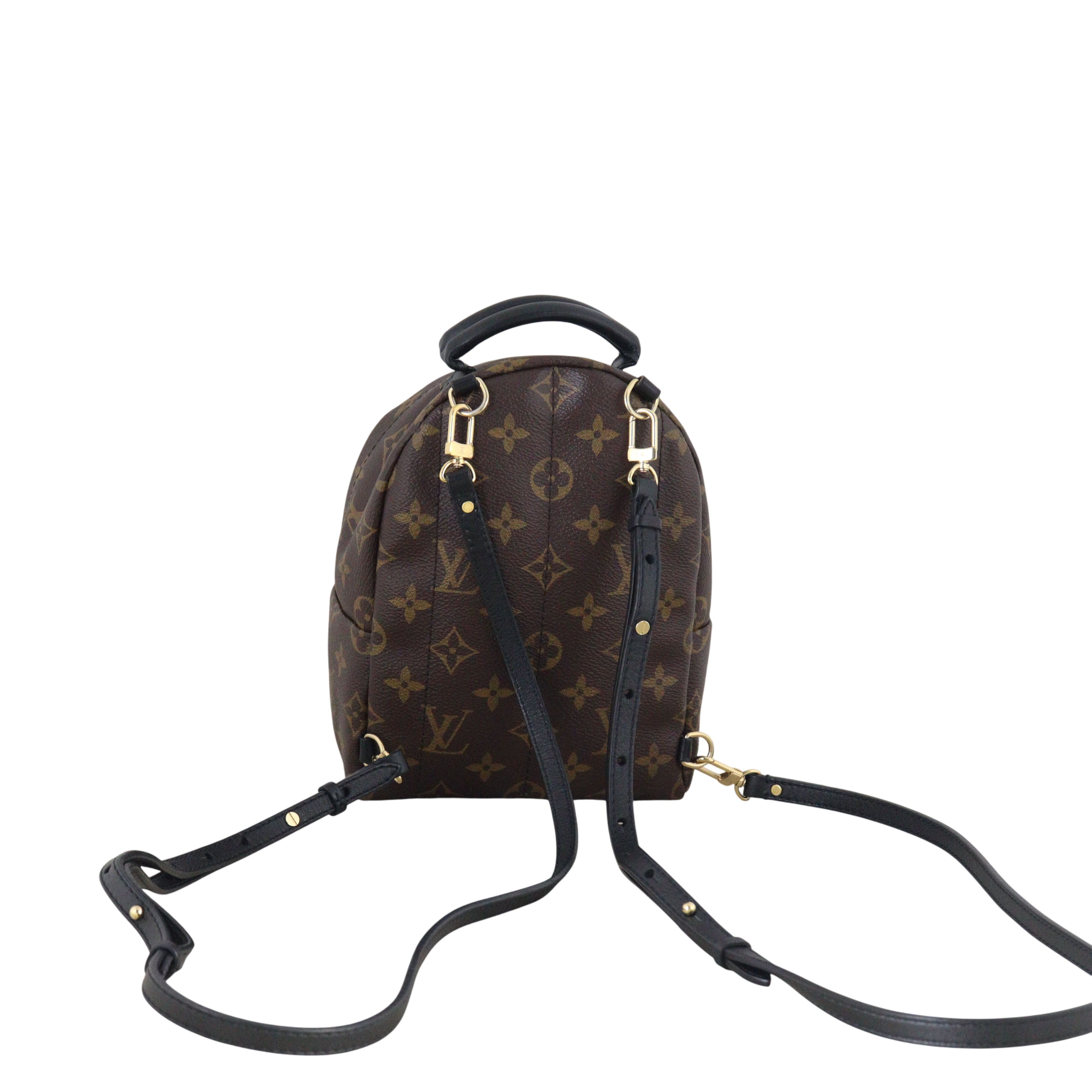 Louis Vuitton Palm Springs Mini Backpack Monogram