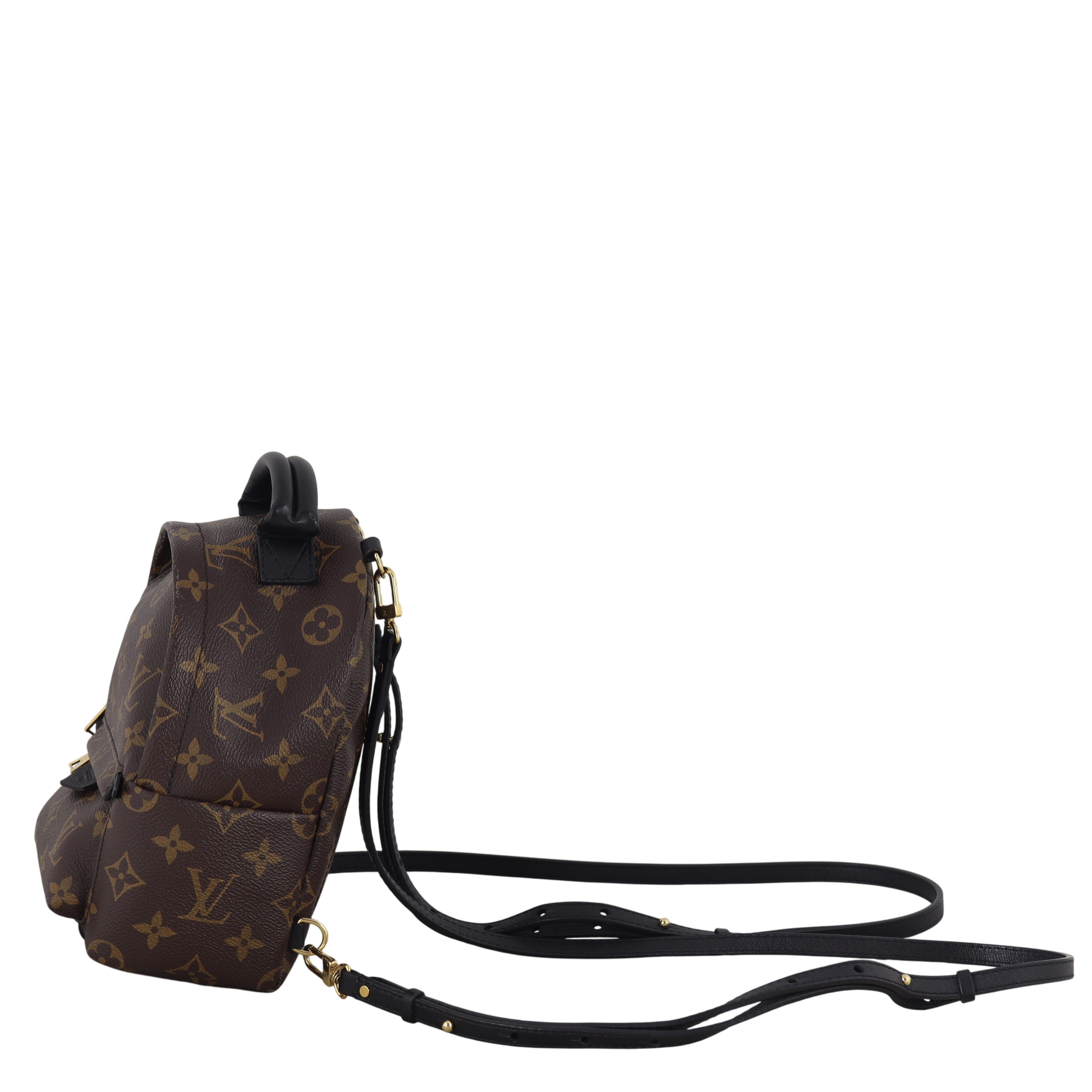 Louis Vuitton Palm Springs Mini Backpack Monogram