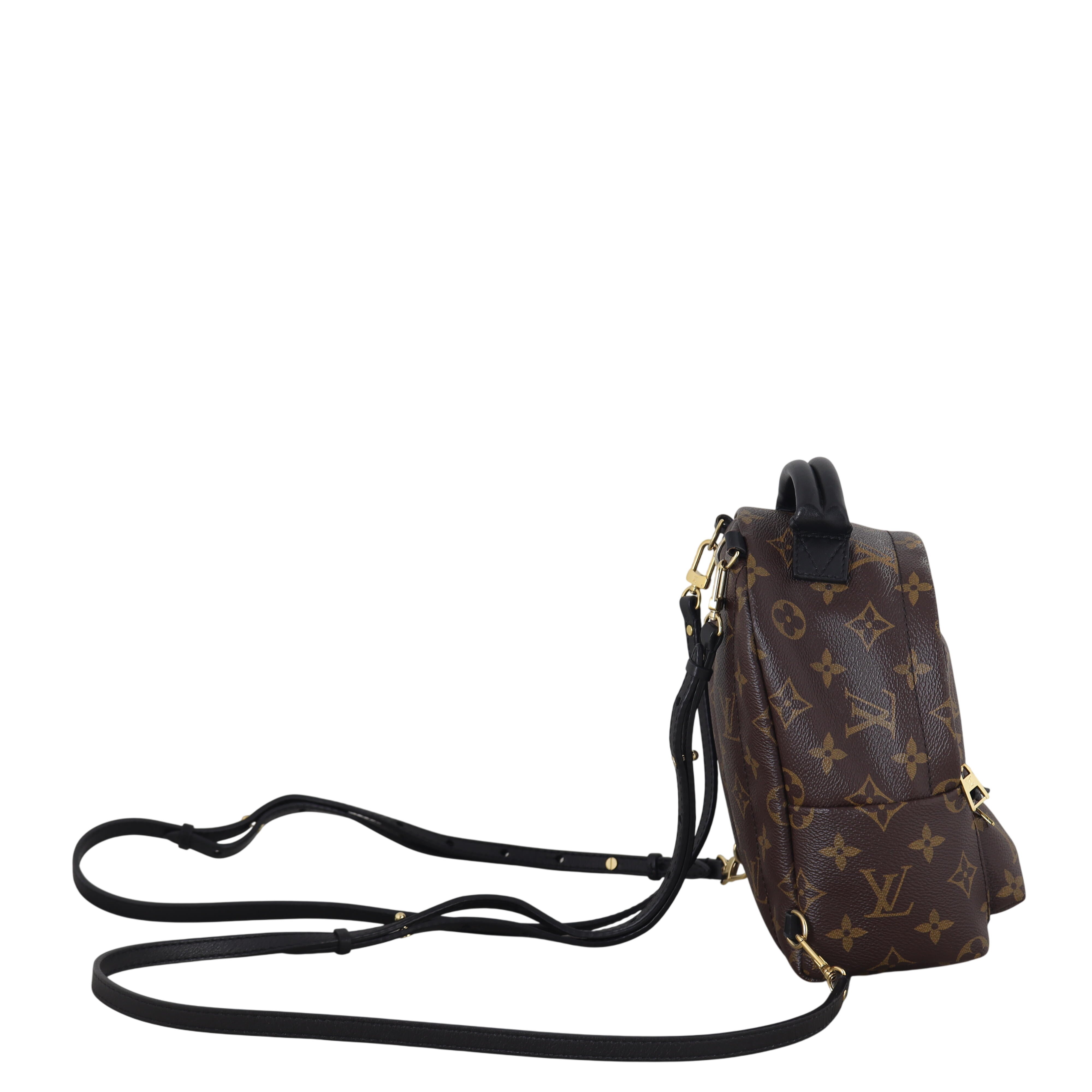 Louis Vuitton Palm Springs Mini Backpack Monogram