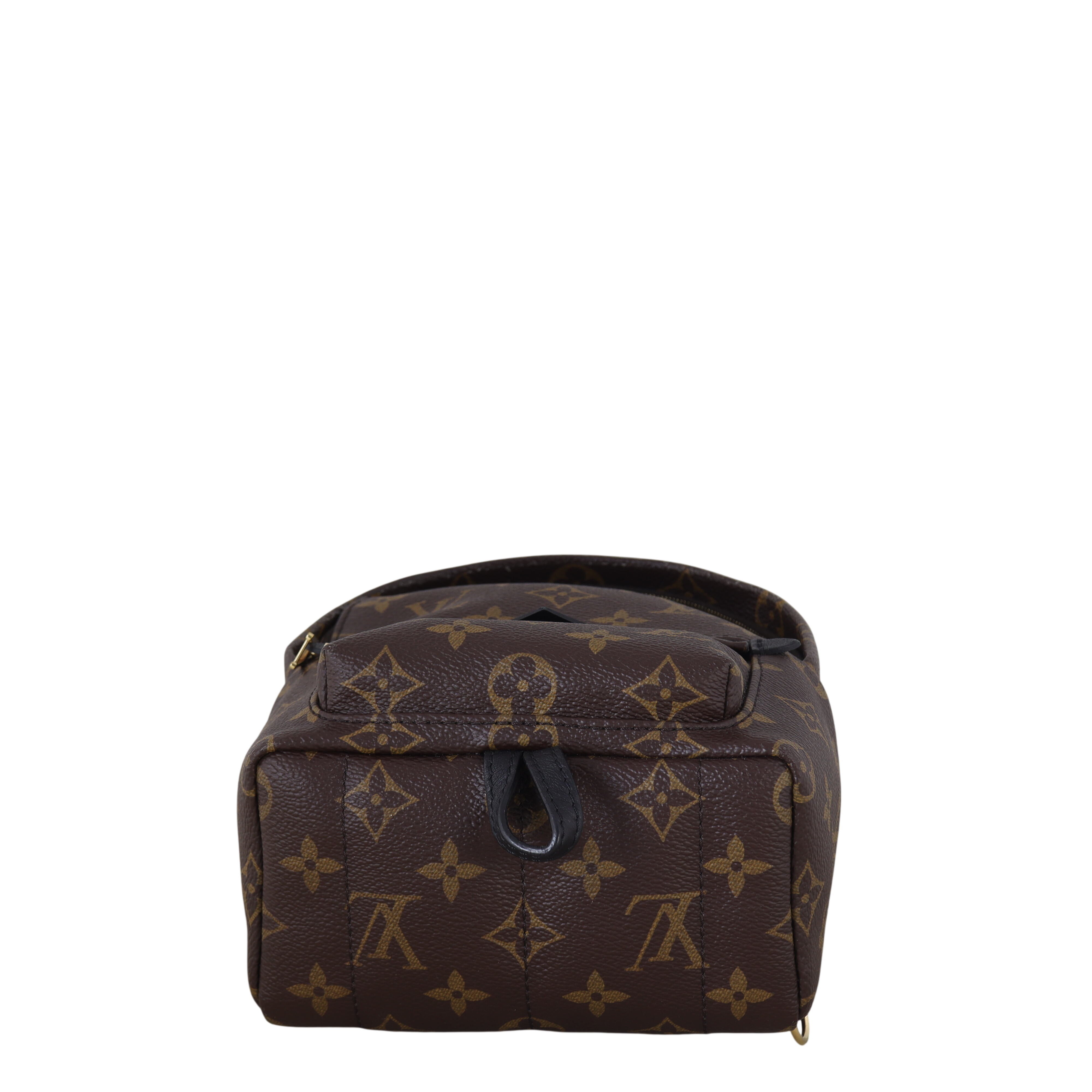 Louis Vuitton Palm Springs Mini Backpack Monogram