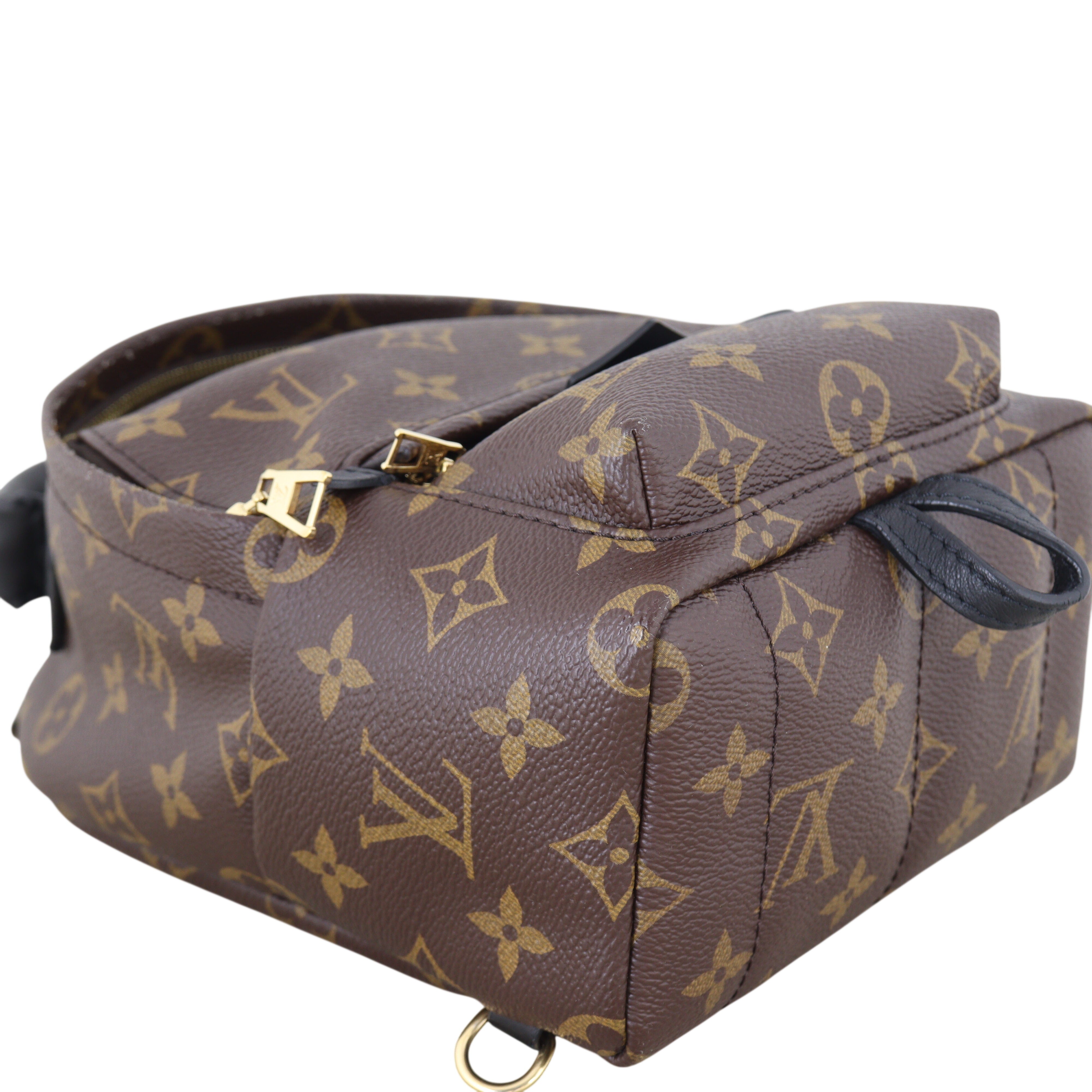 Louis Vuitton Palm Springs Mini Backpack Monogram