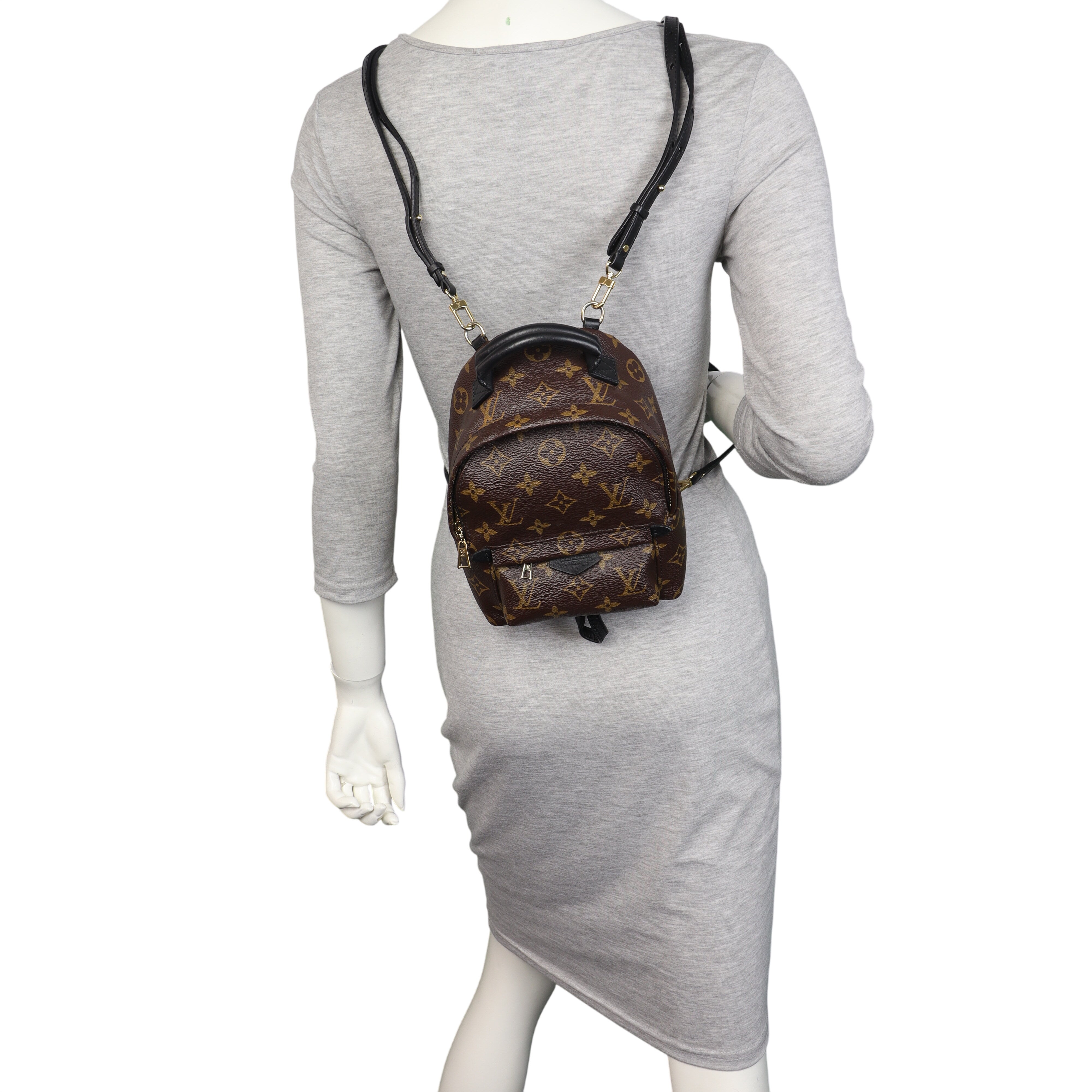 Louis Vuitton Palm Springs Mini Backpack Monogram