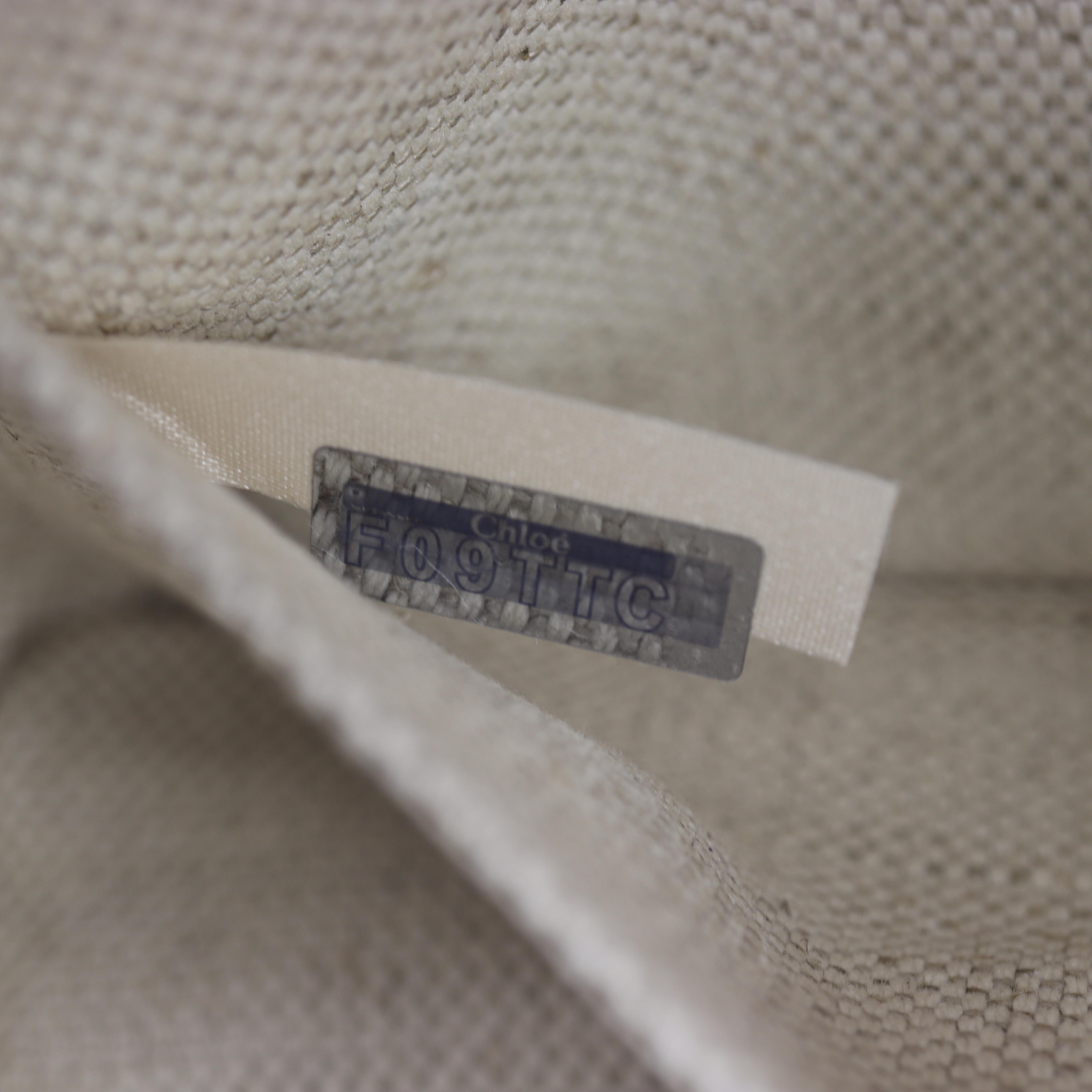 Chloe Camera Bag Small