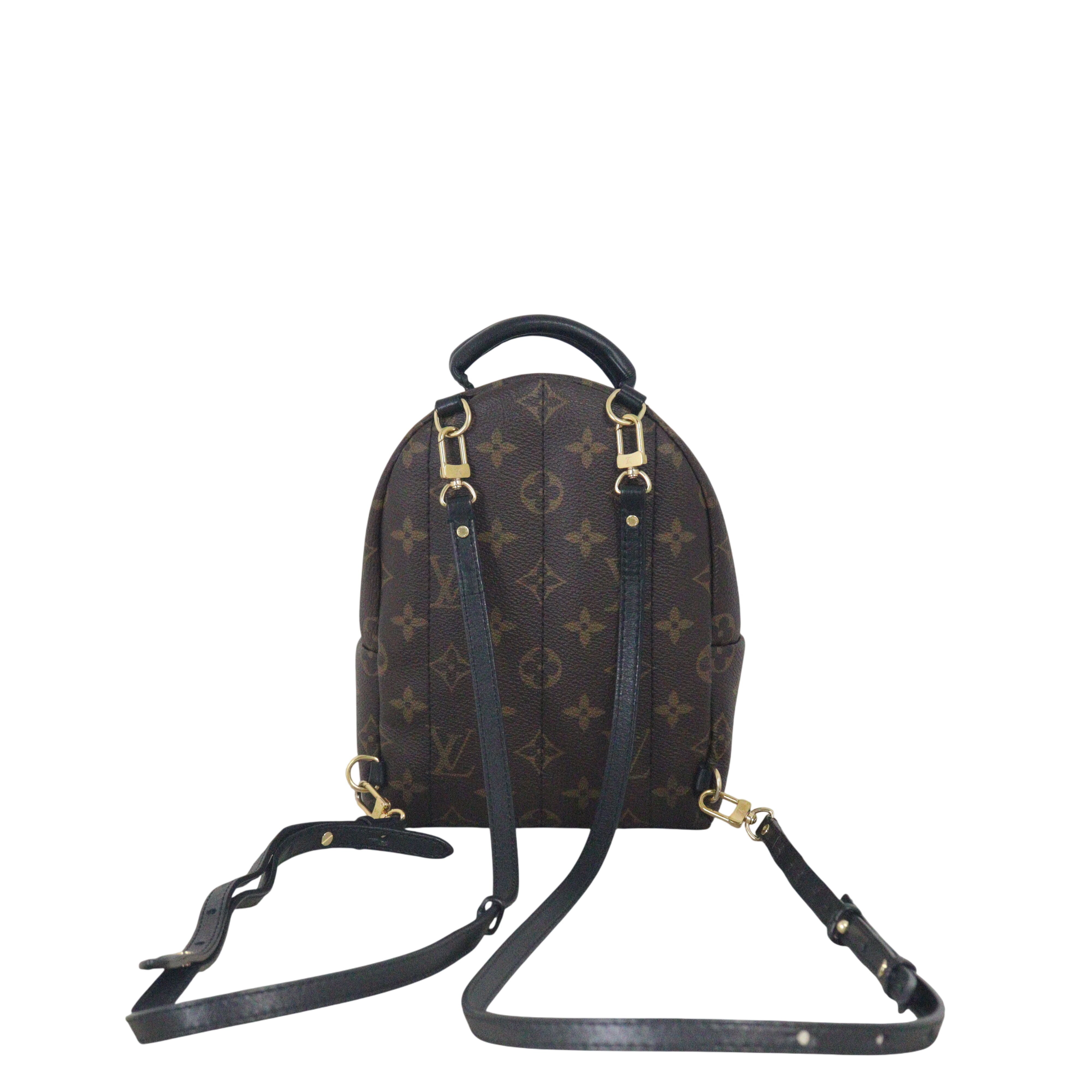 Louis Vuitton Palm Springs Mini Backpack Monogram