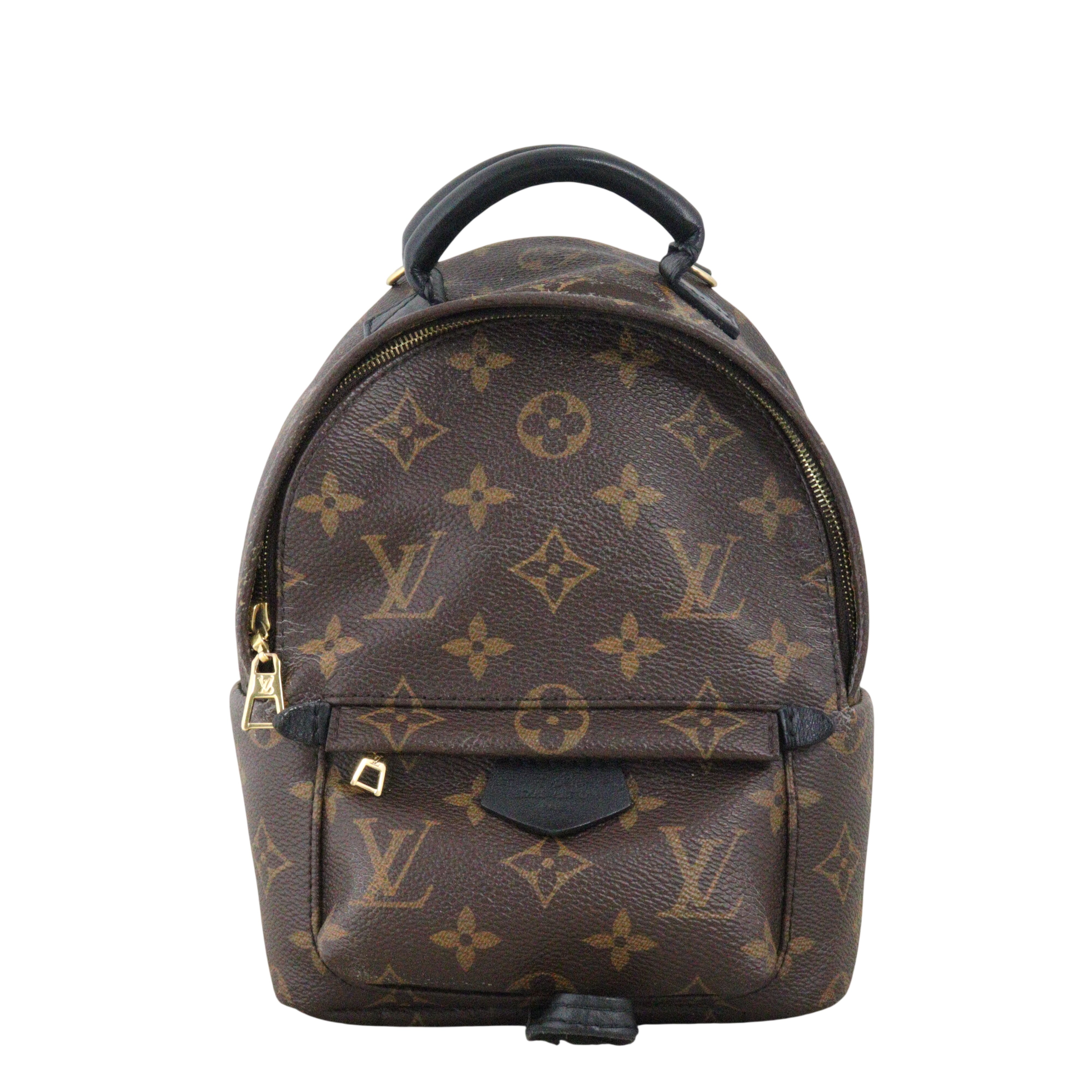 Louis Vuitton Palm Springs Mini Backpack Monogram
