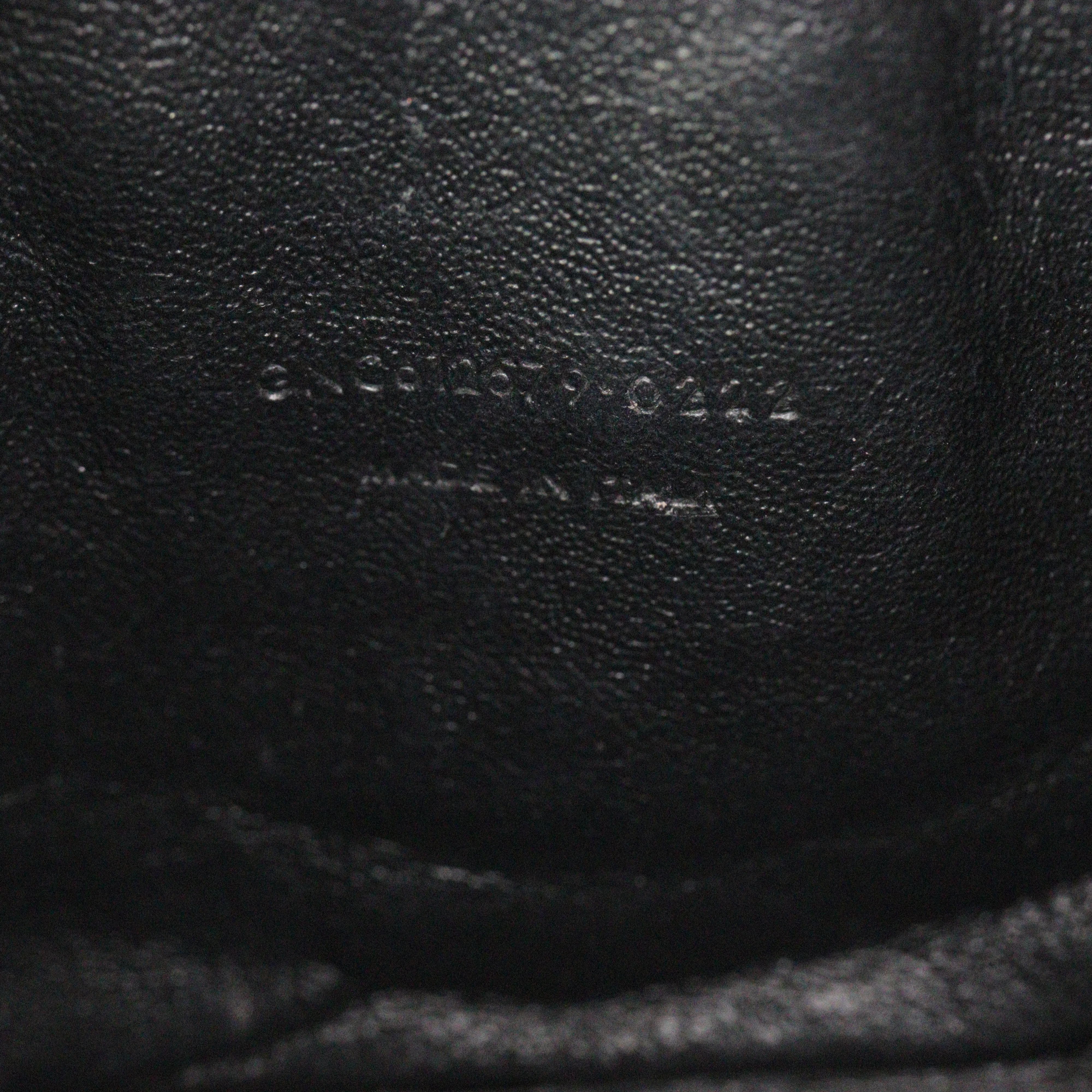 Saint Laurent Lou Mini Camera Bag