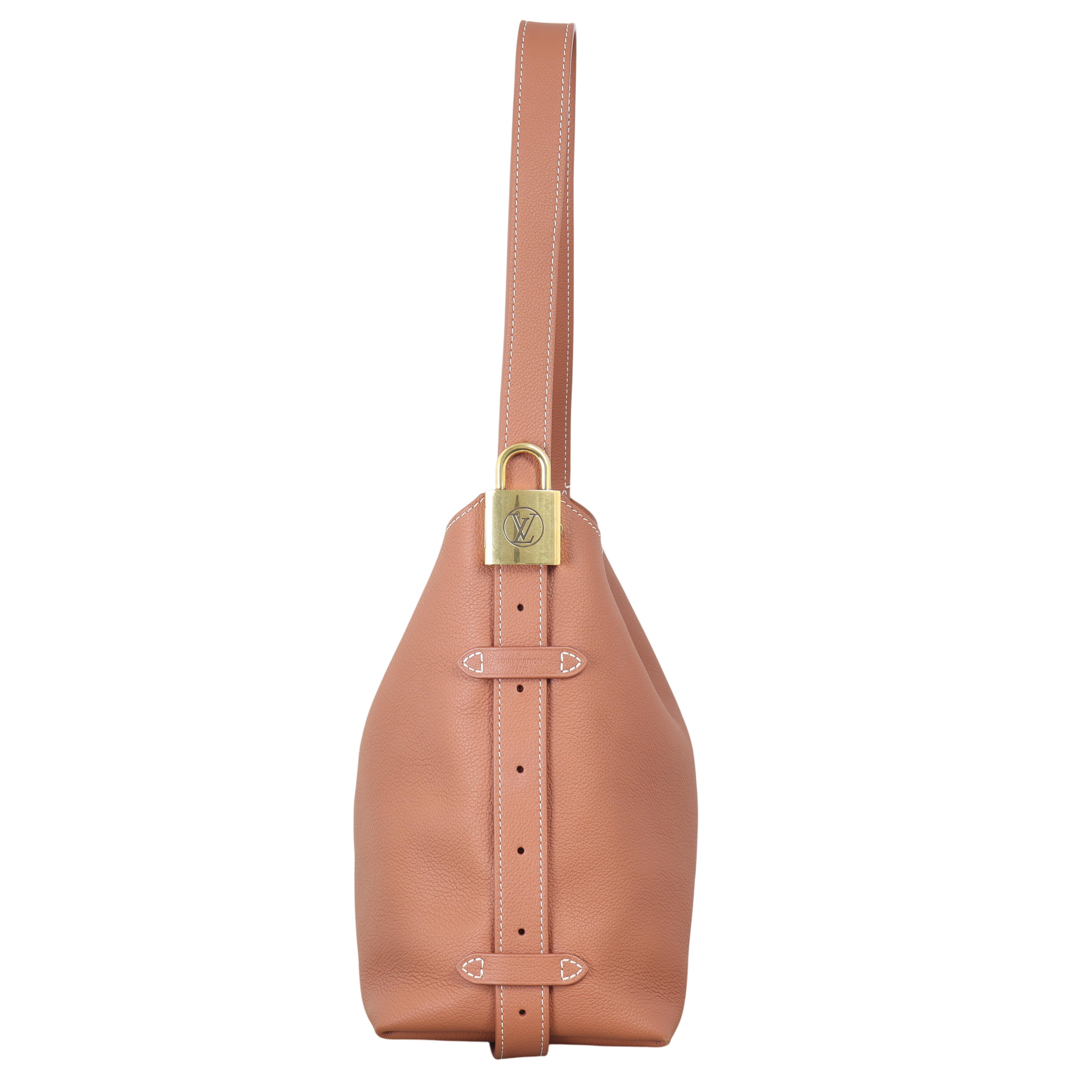 Louis Vuitton Low Key Hobo PM