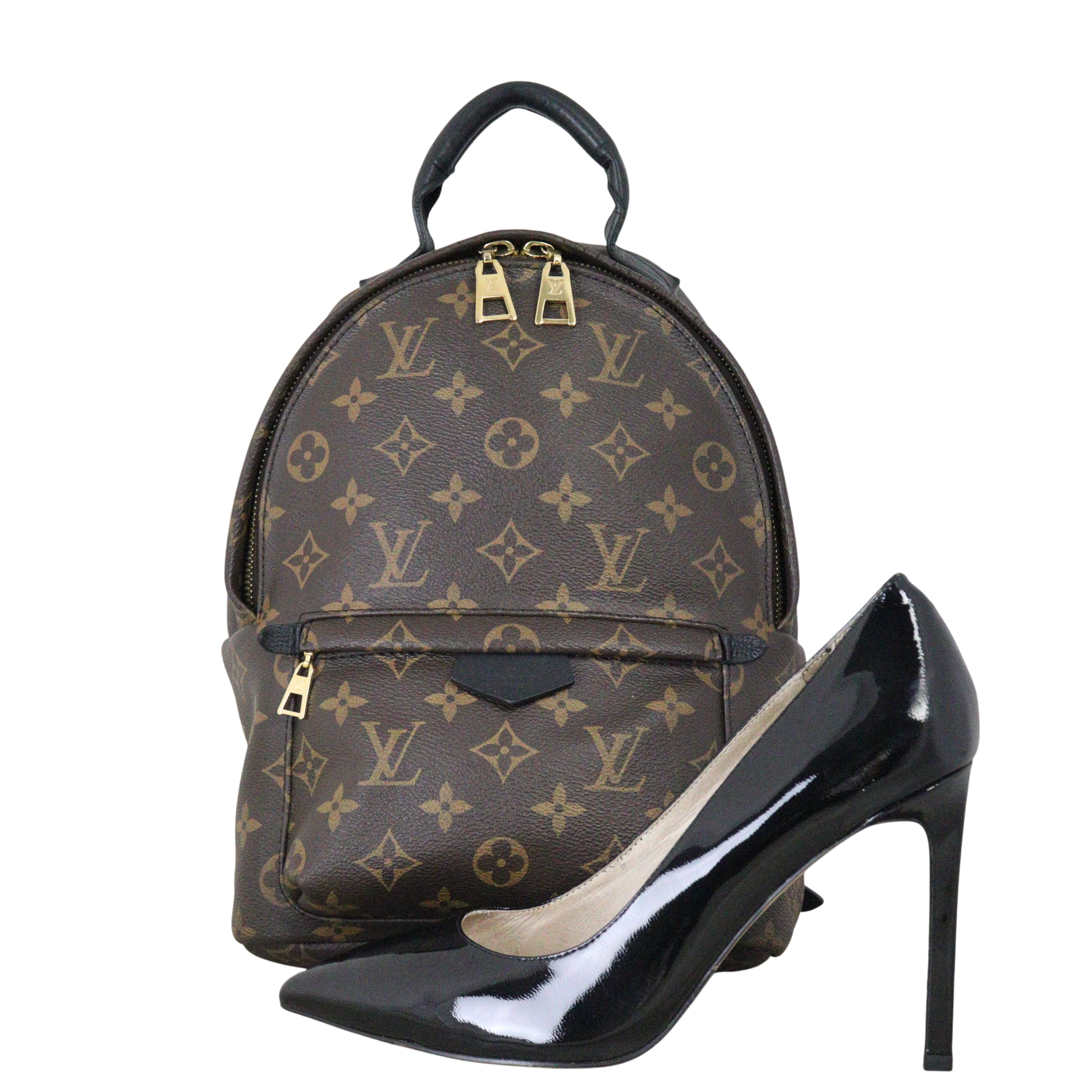 Louis Vuitton Palm Springs Backpack PM Monogram