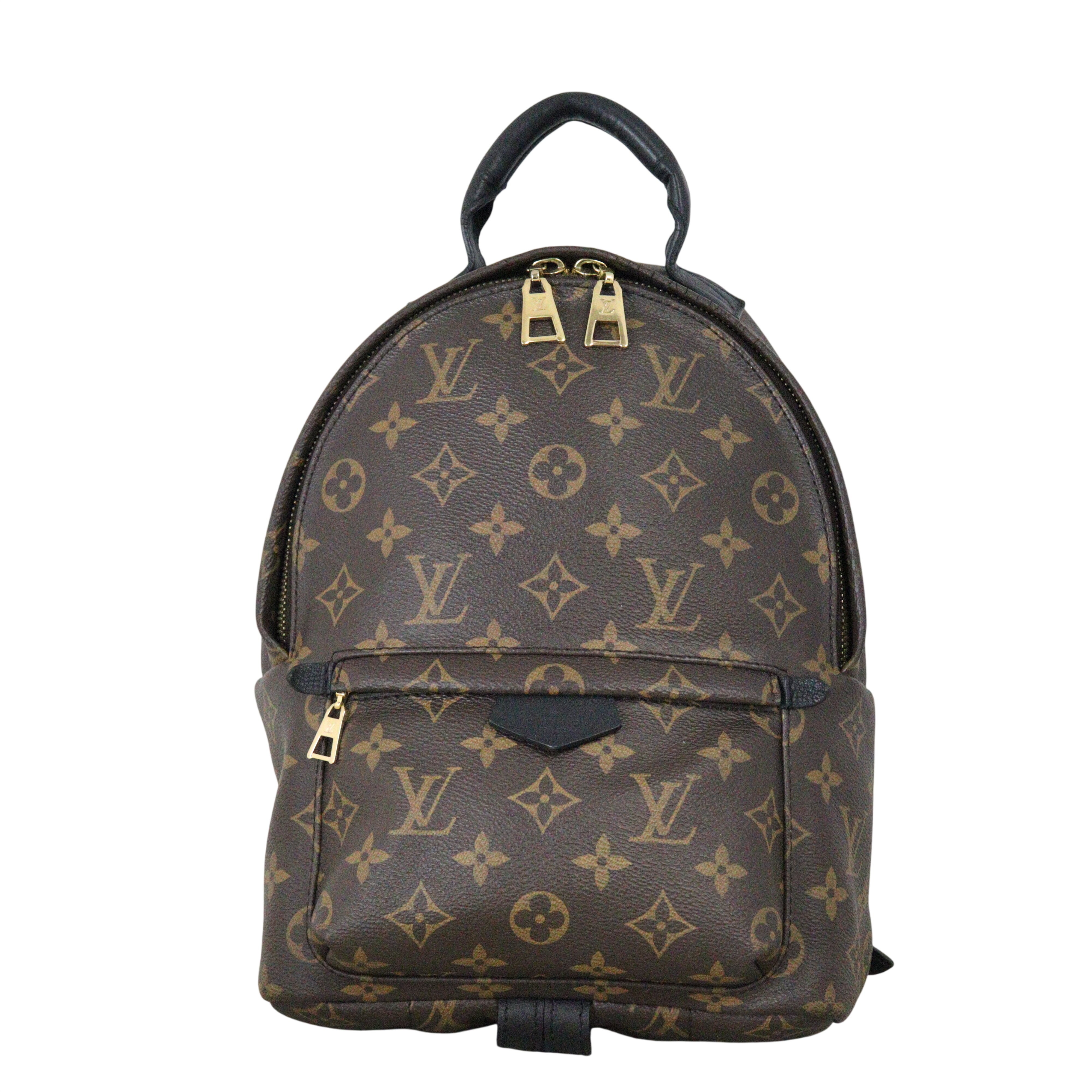 Louis Vuitton Palm Springs Backpack PM Monogram