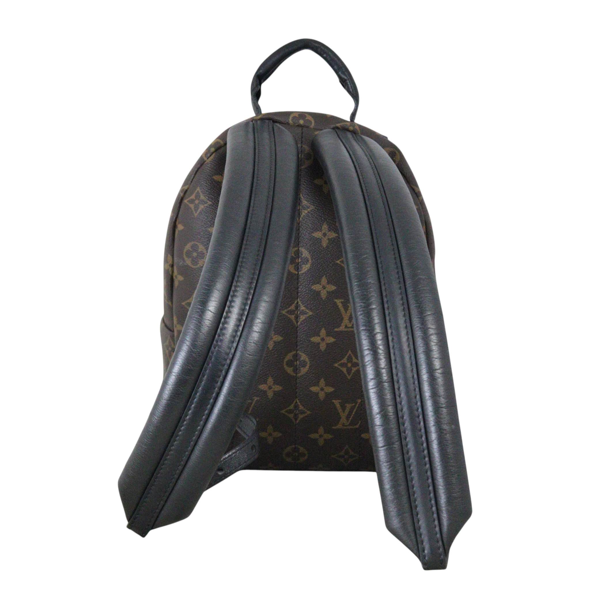 Louis Vuitton Palm Springs Backpack PM Monogram