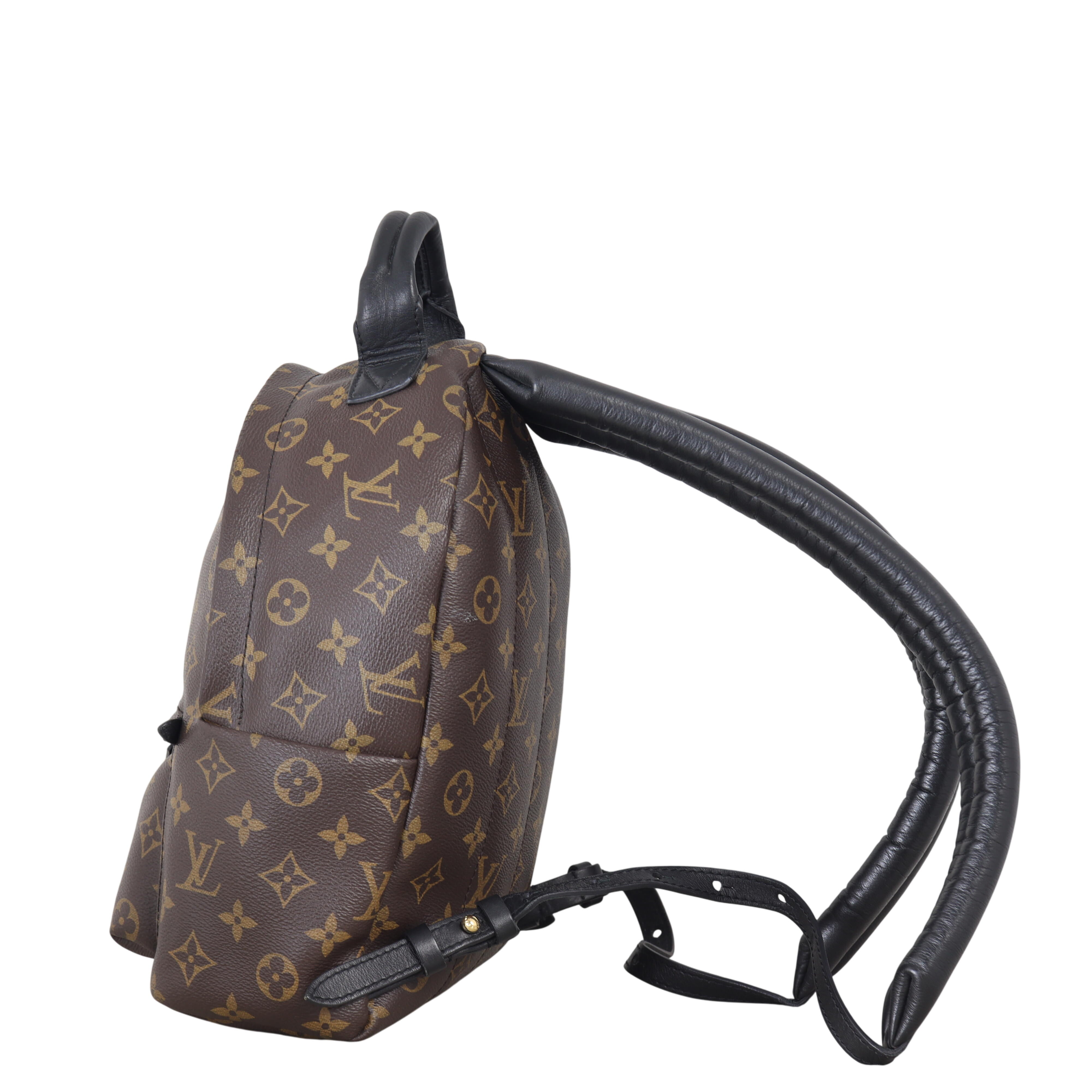 Louis Vuitton Palm Springs Backpack PM Monogram